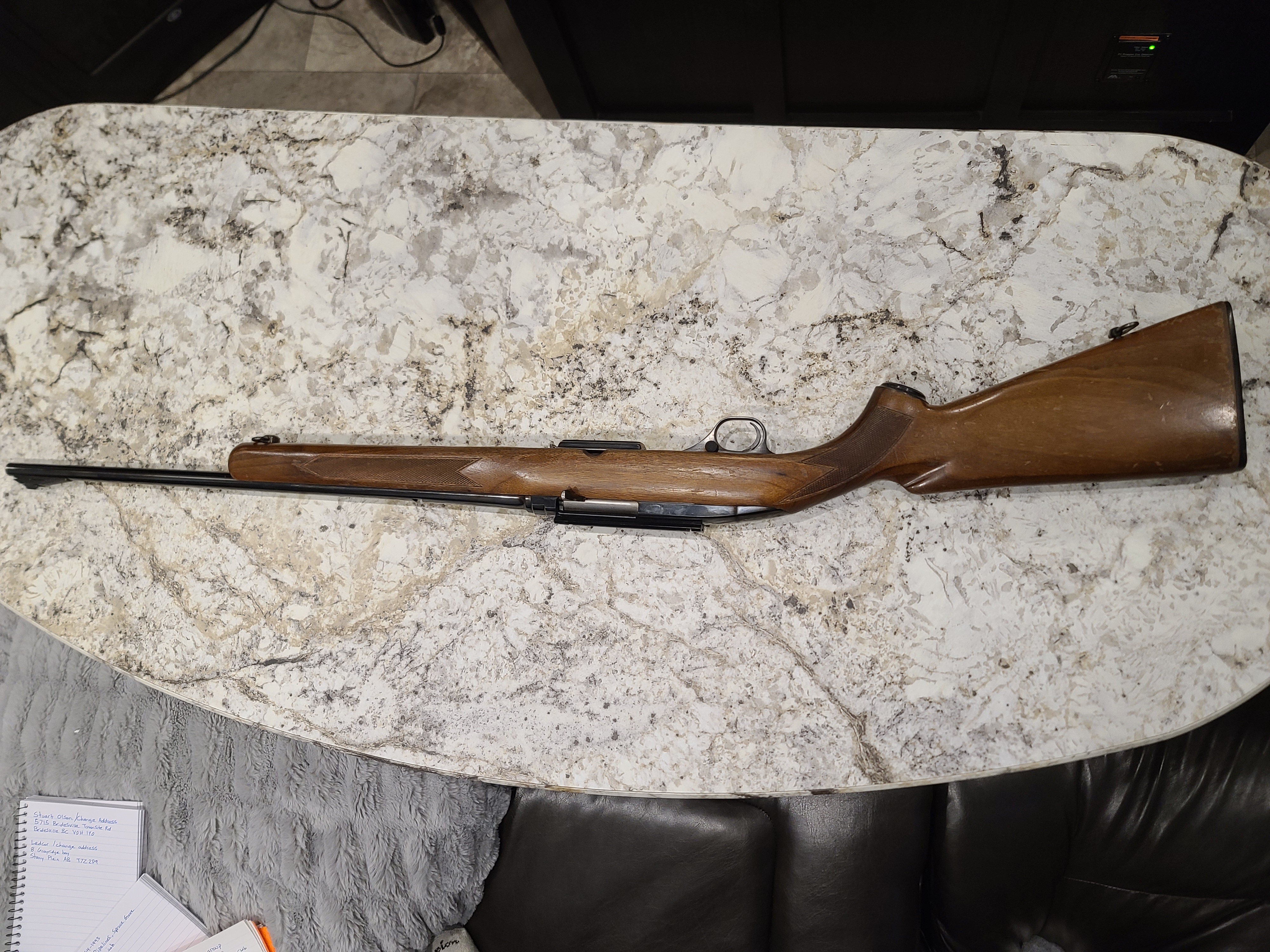 Photo of Pre 64 Winchester Model 100 308 Cal.