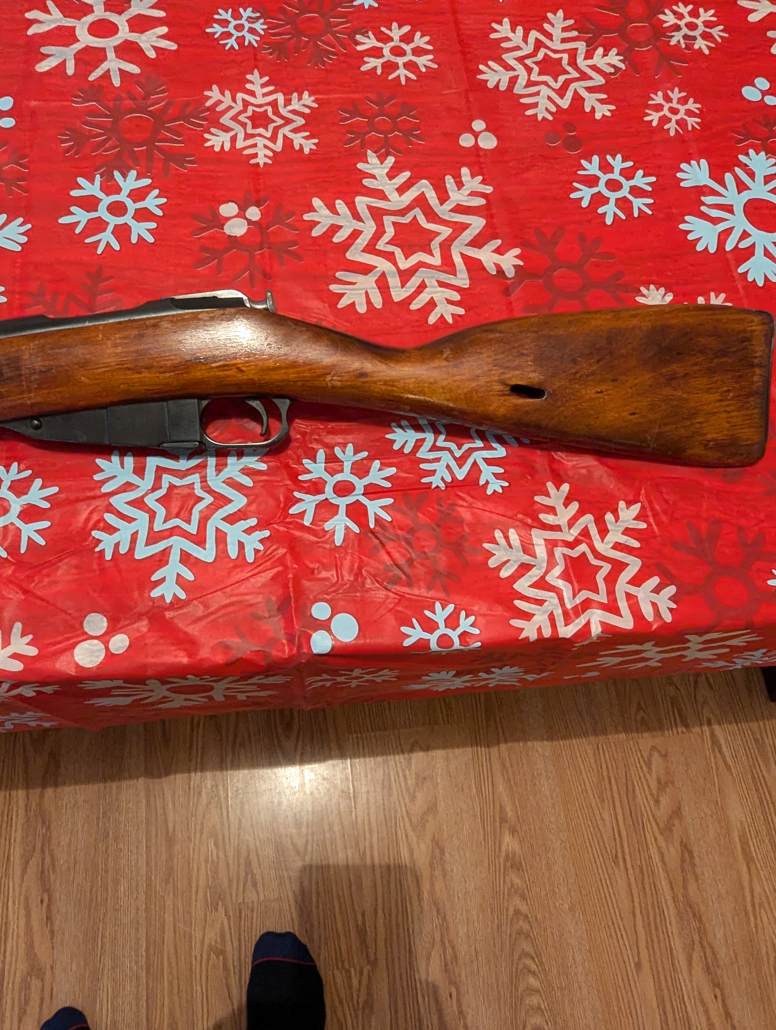 Photo of Mohsin nagant m38