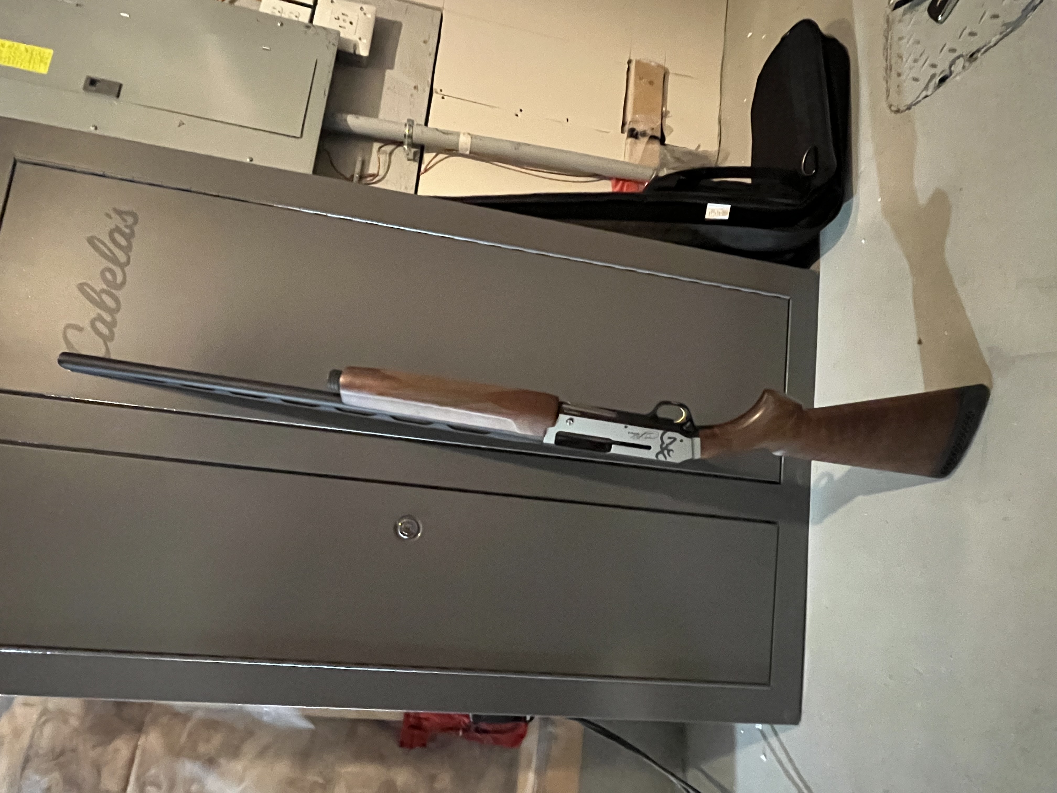 Photo of Browning silver 12gauge