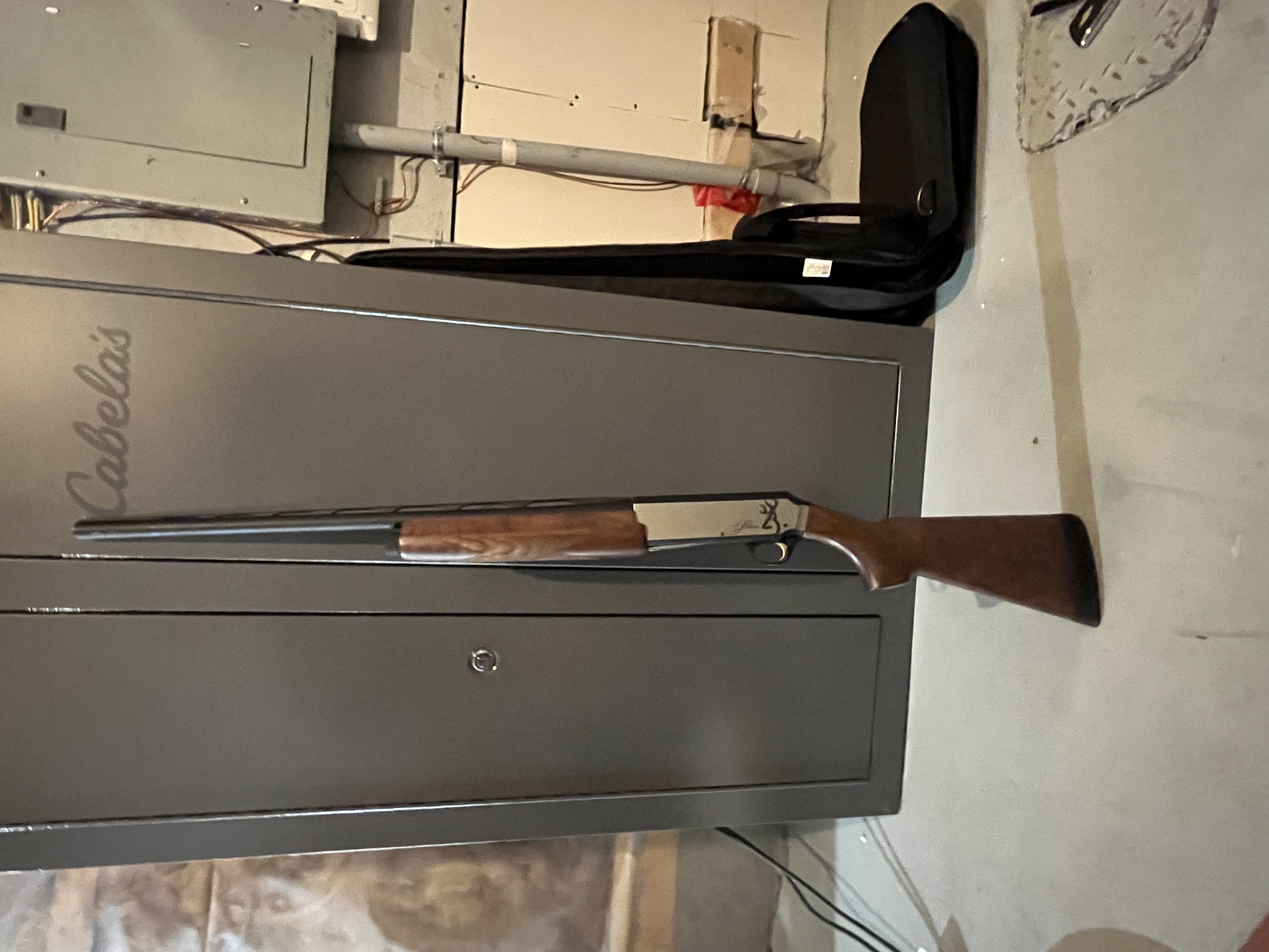 Photo of Browning silver 12gauge