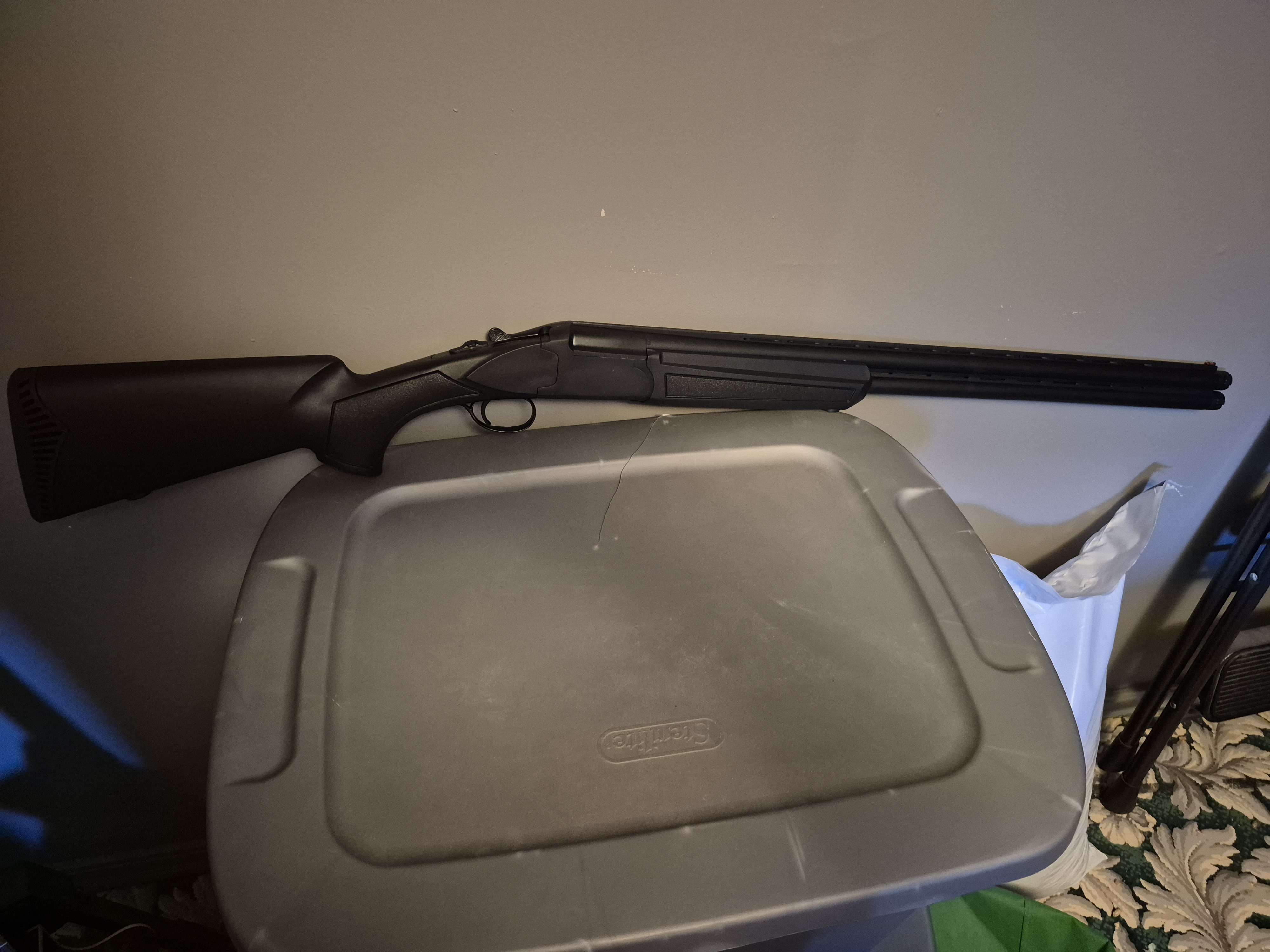 Photo of Arius pointer 12ga