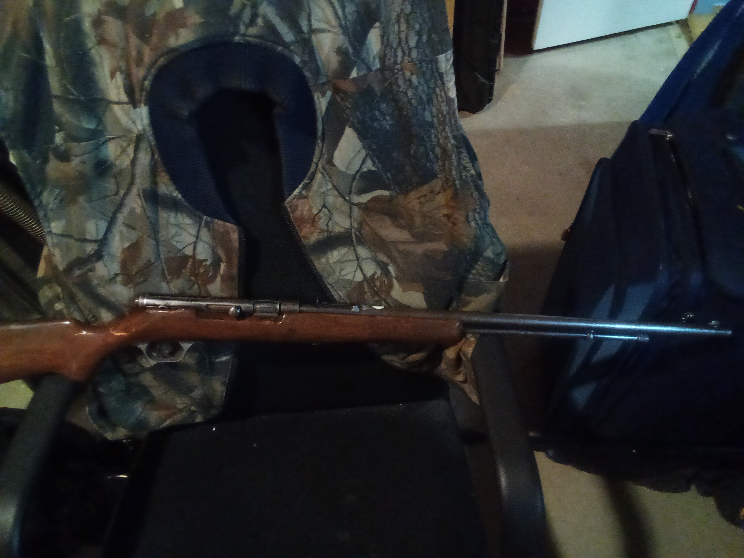 Photo of Savage semi auto .22