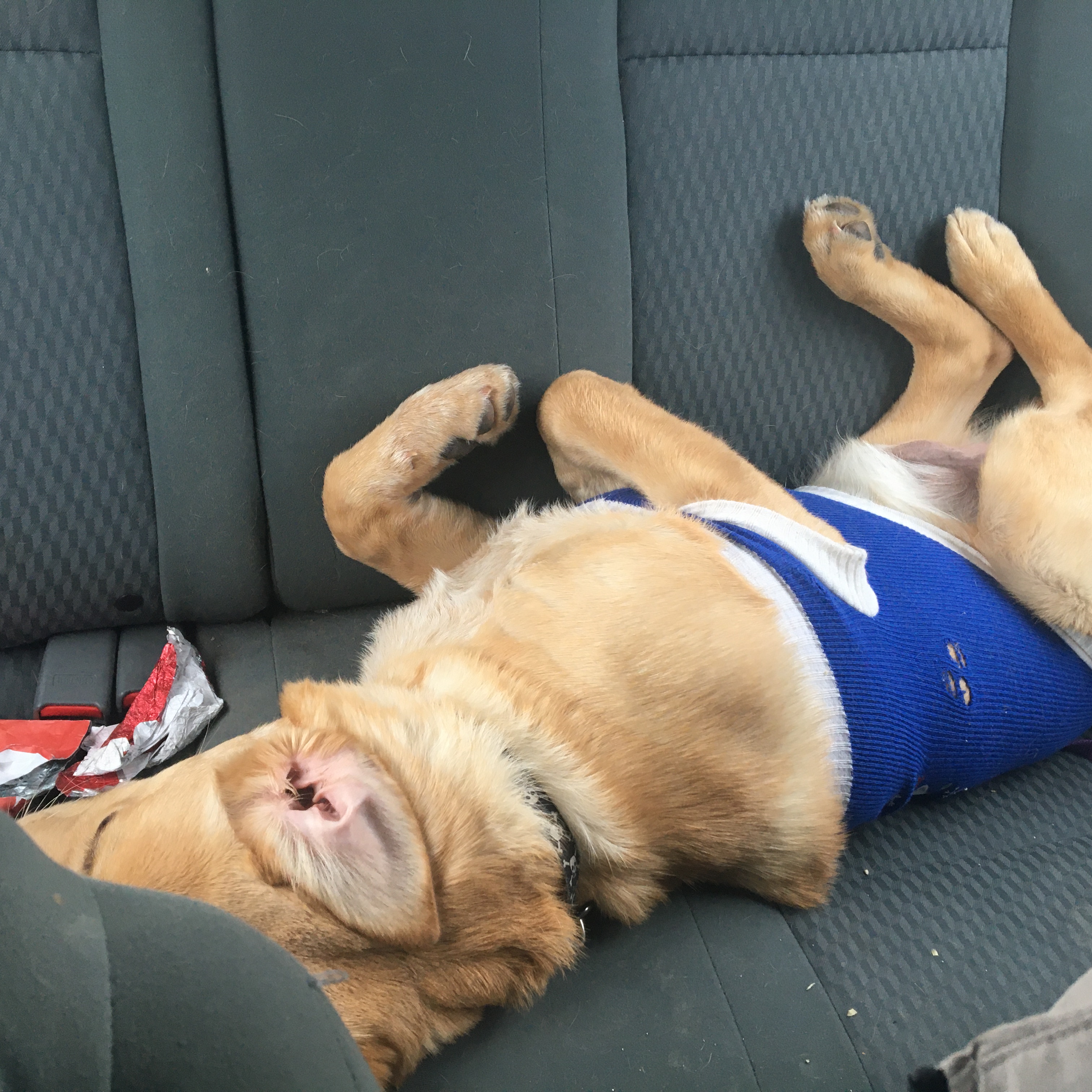 Photo of Looking for a New Friend?