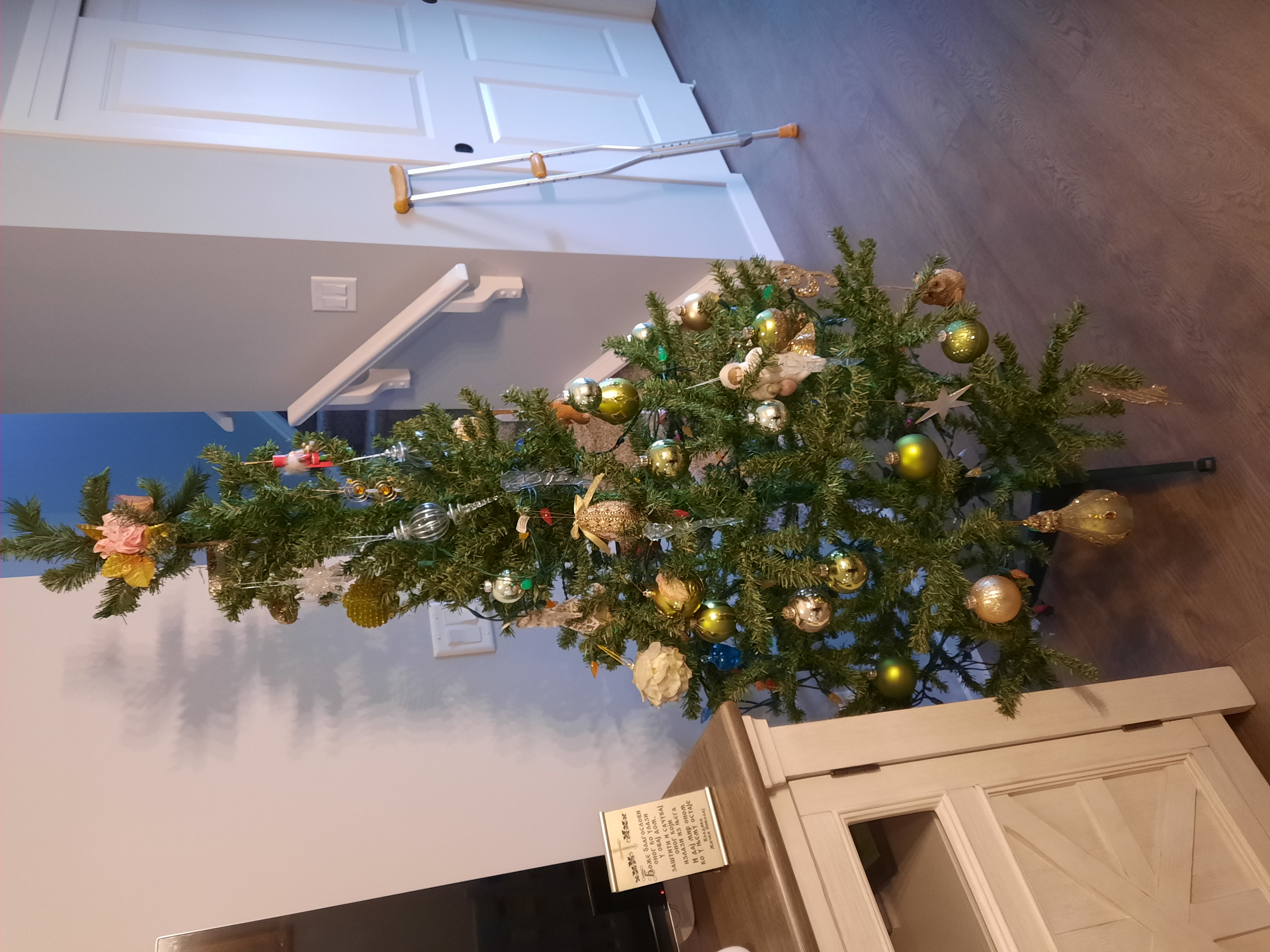 Photo of Christmas tree with 6 foot height on sale
