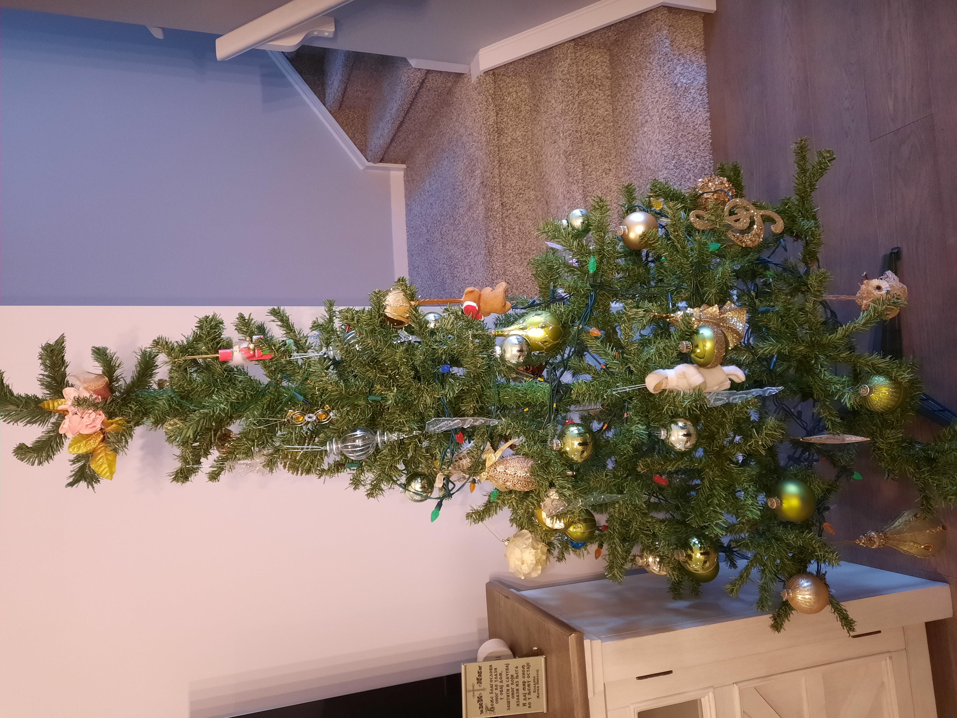 Photo of Christmas tree with 6 foot height on sale