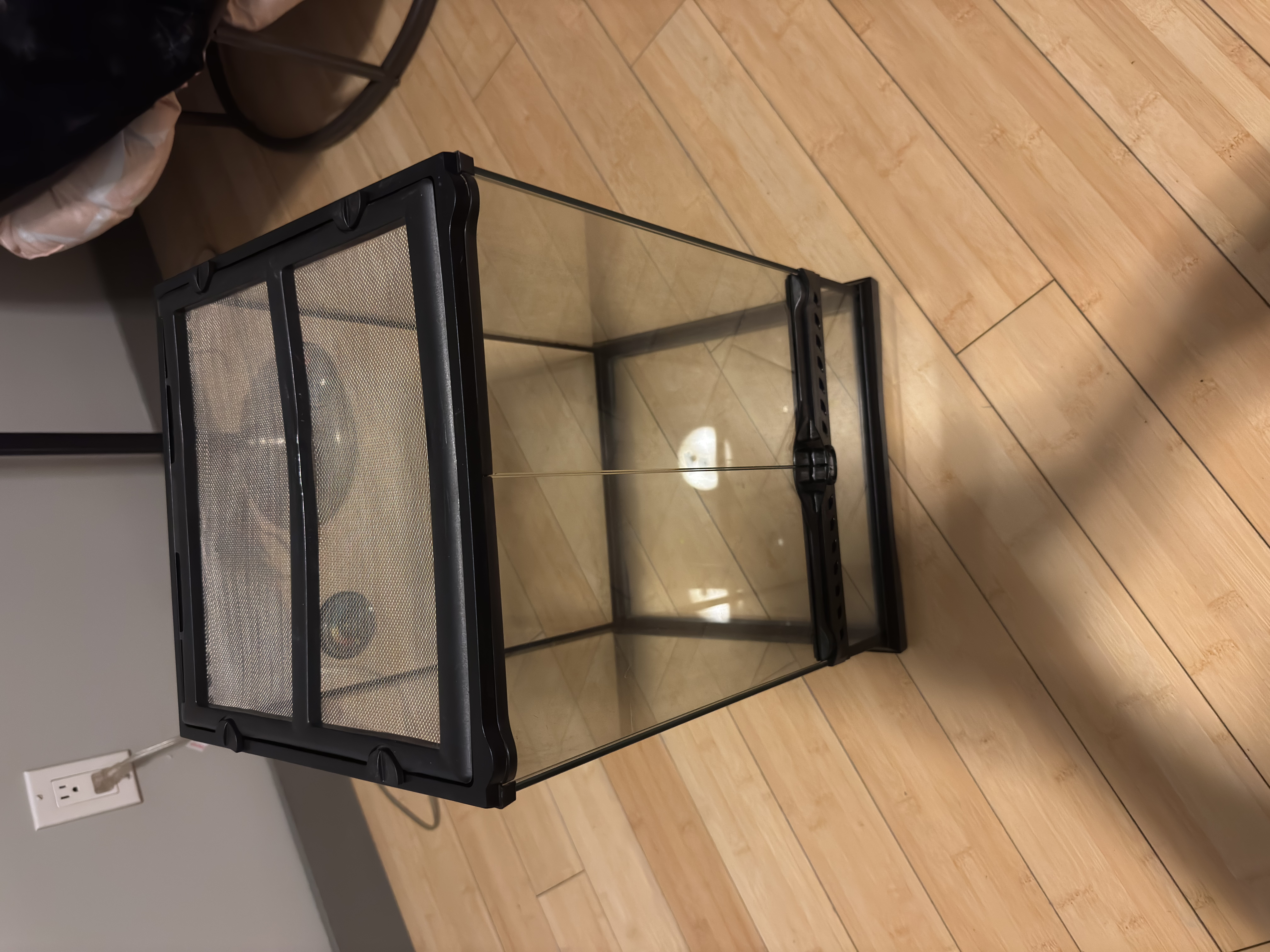 Terrarium 12 x 12 x 18 in - 2 - 1740200939163_IMG_5127