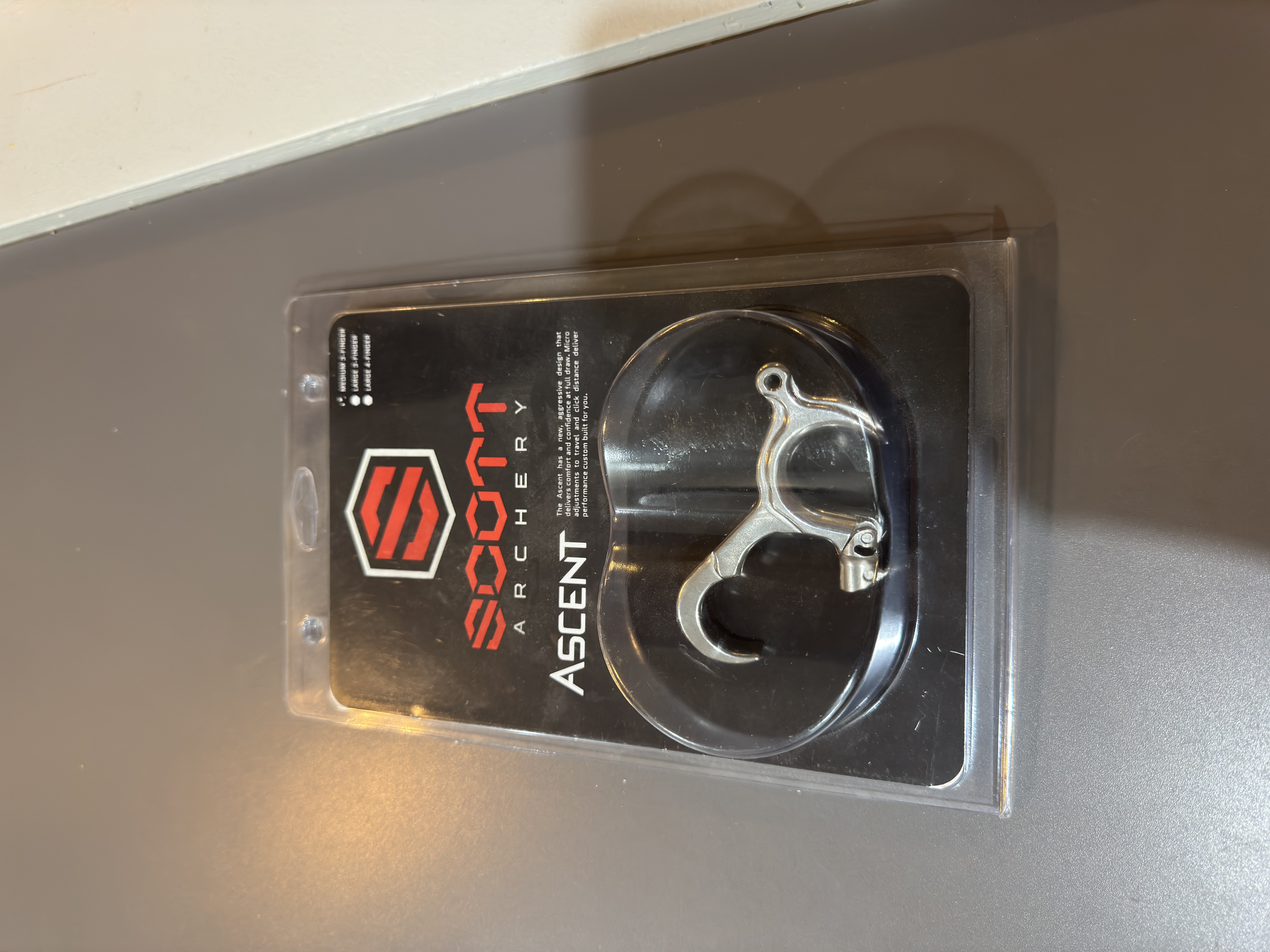 Photo of Scott Ascent