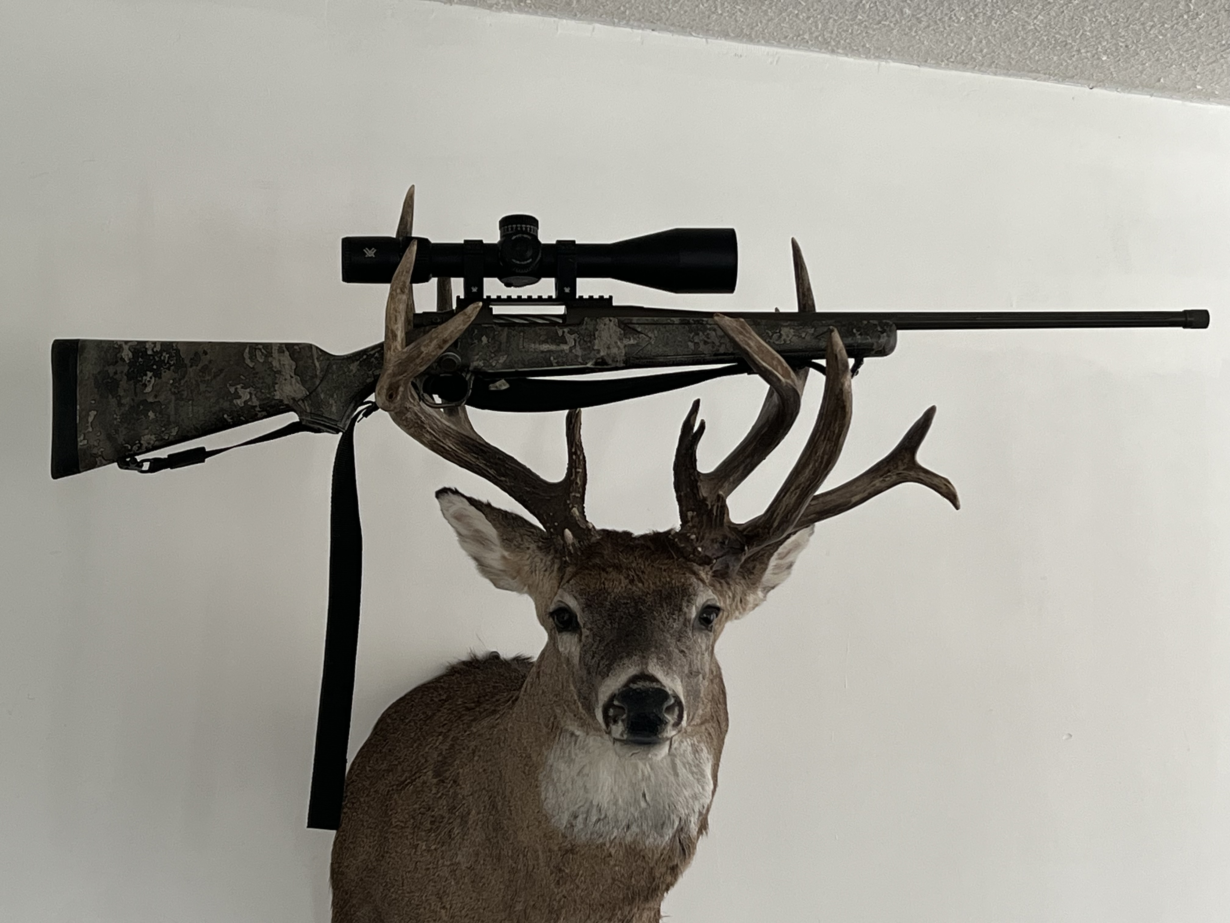 Photo of Mossburg Patriot in a 6.5 PRC with a 5x25 by 56mm Vortex scope