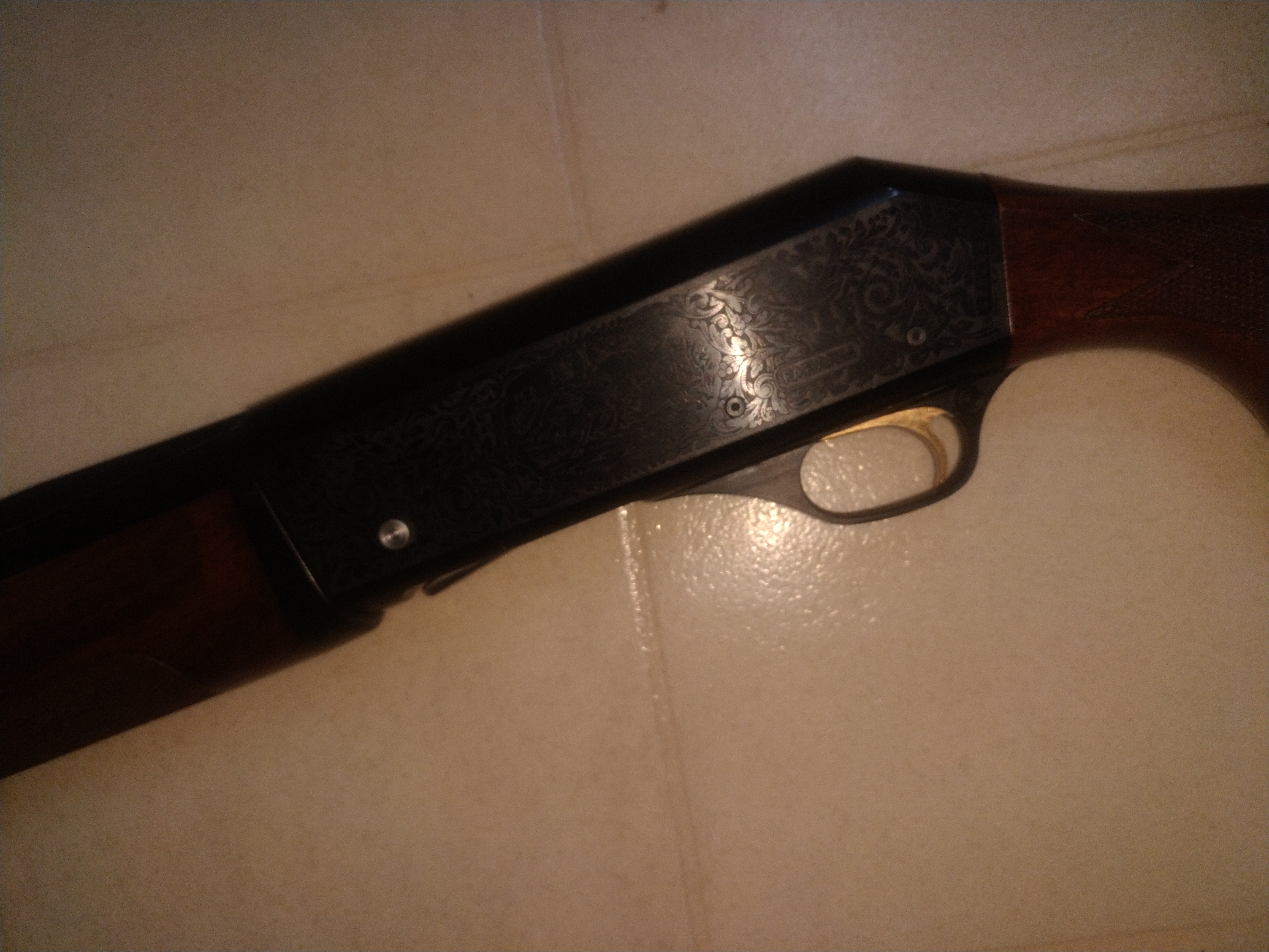 Photo of 12 gauge magnum 