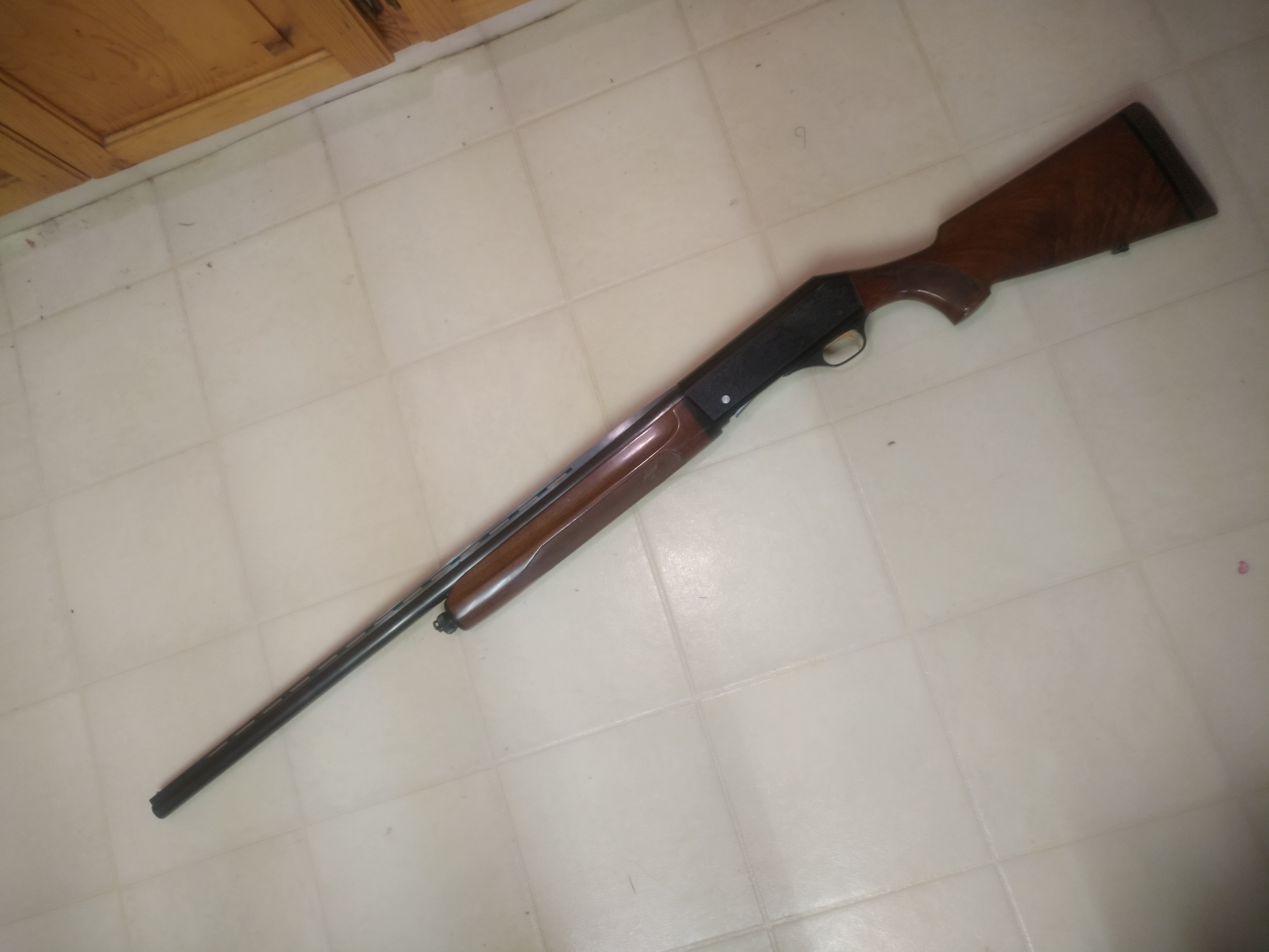 Photo of 12 gauge magnum 