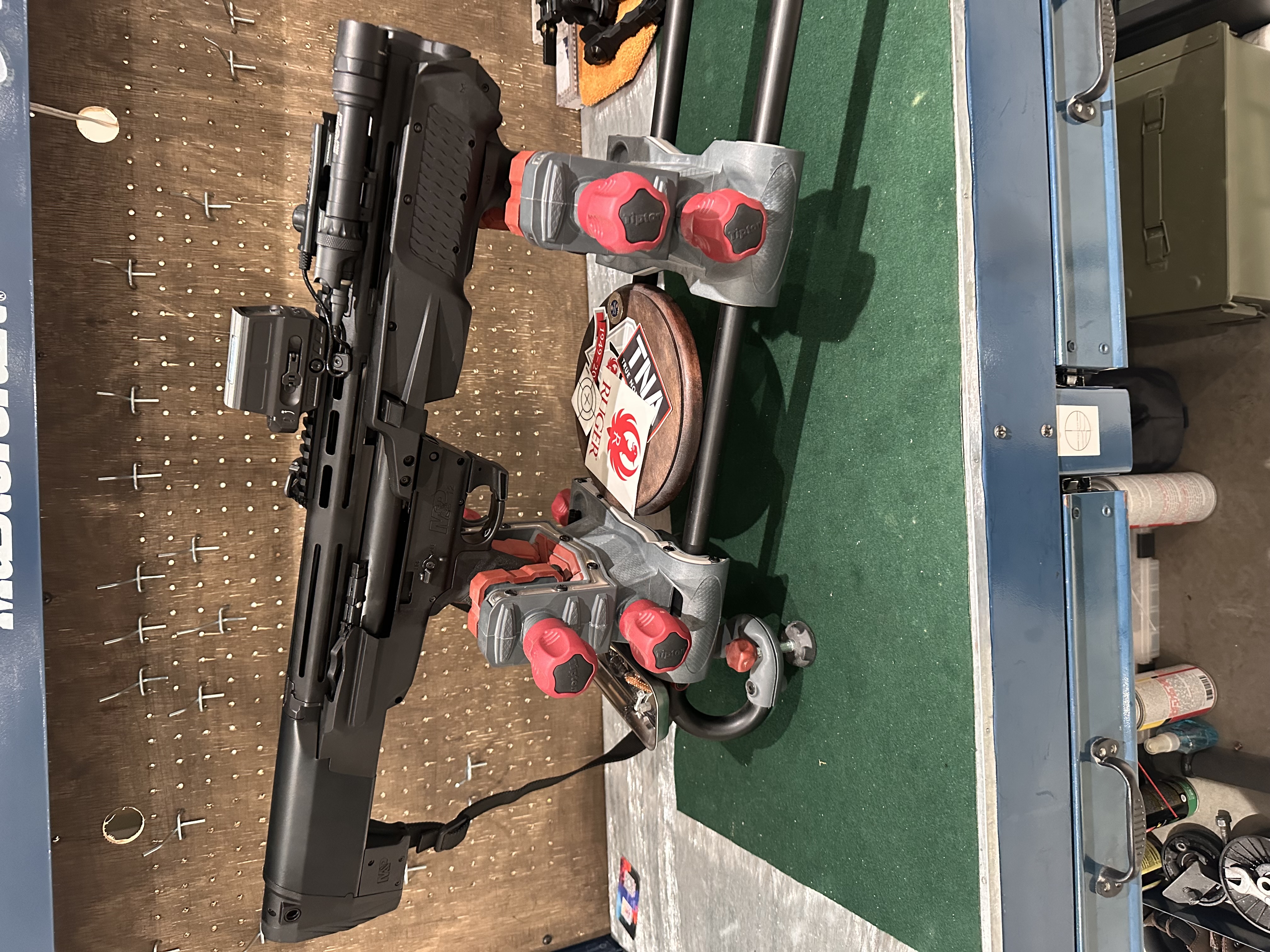 Photo of Smith & Wesson M&P12