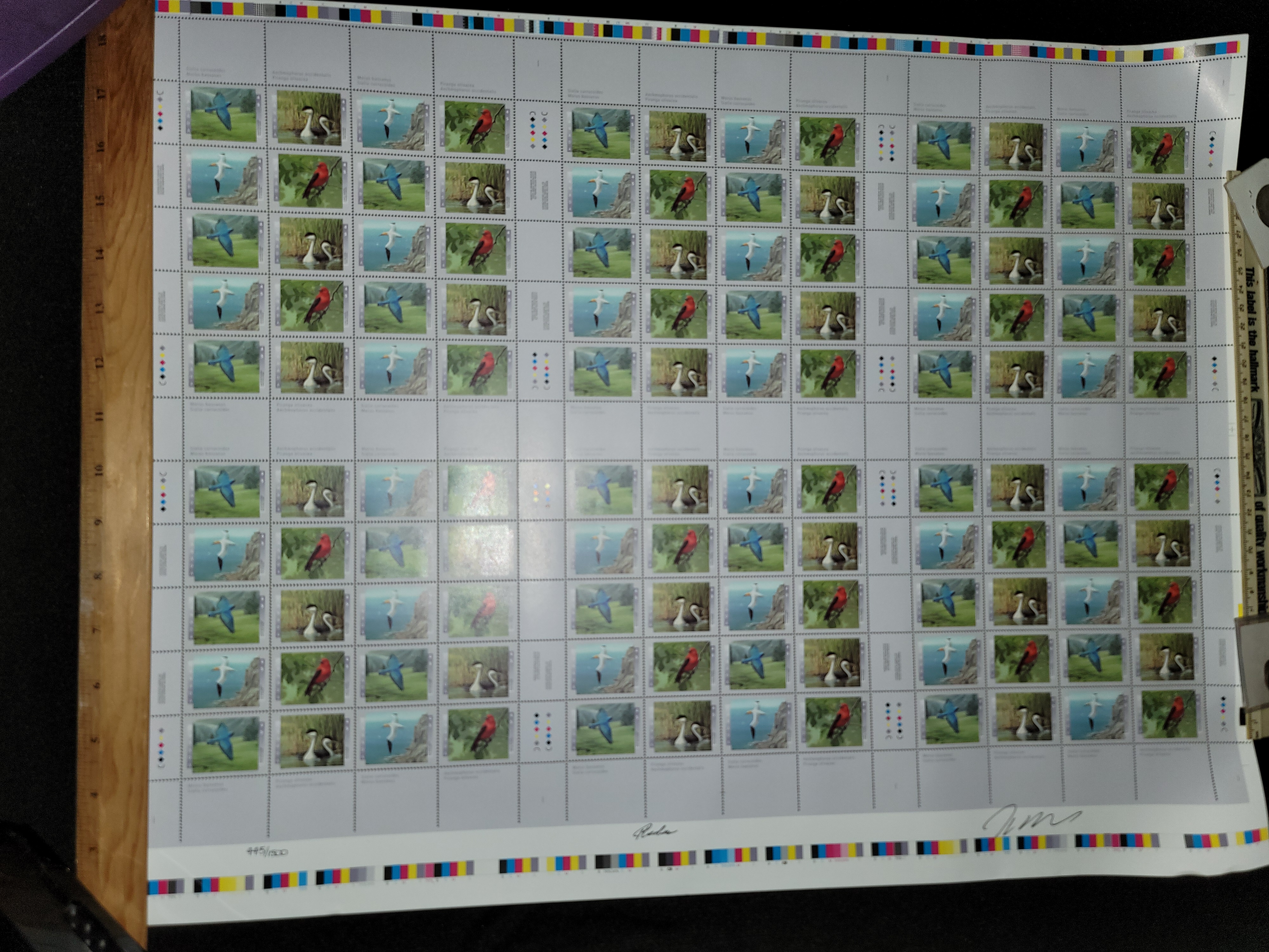 Photo of BIRDS OF CANADA 1997