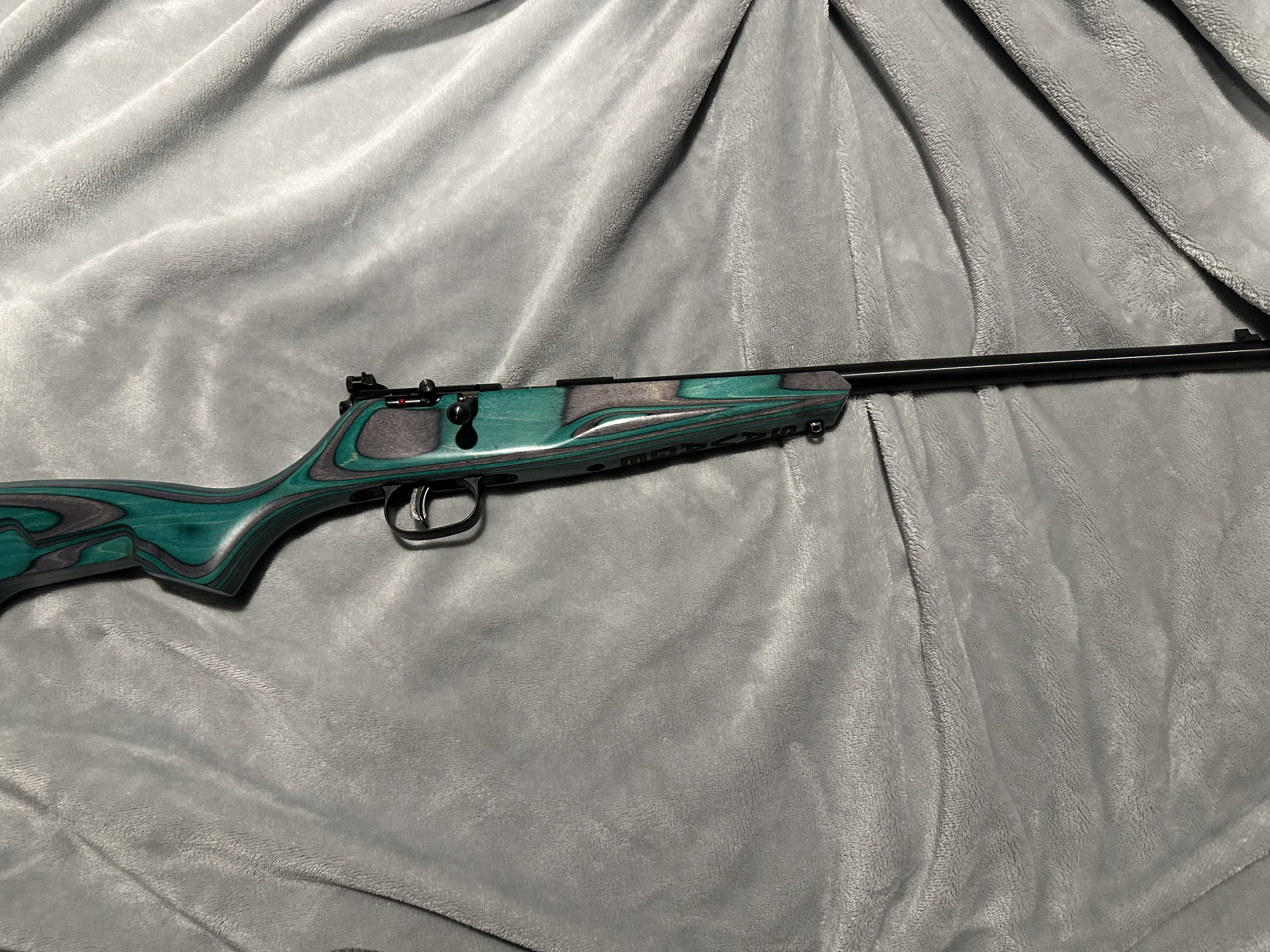 Photo of Savage Rascal Minimalist Bolt Action 22LR Teal and Gray
