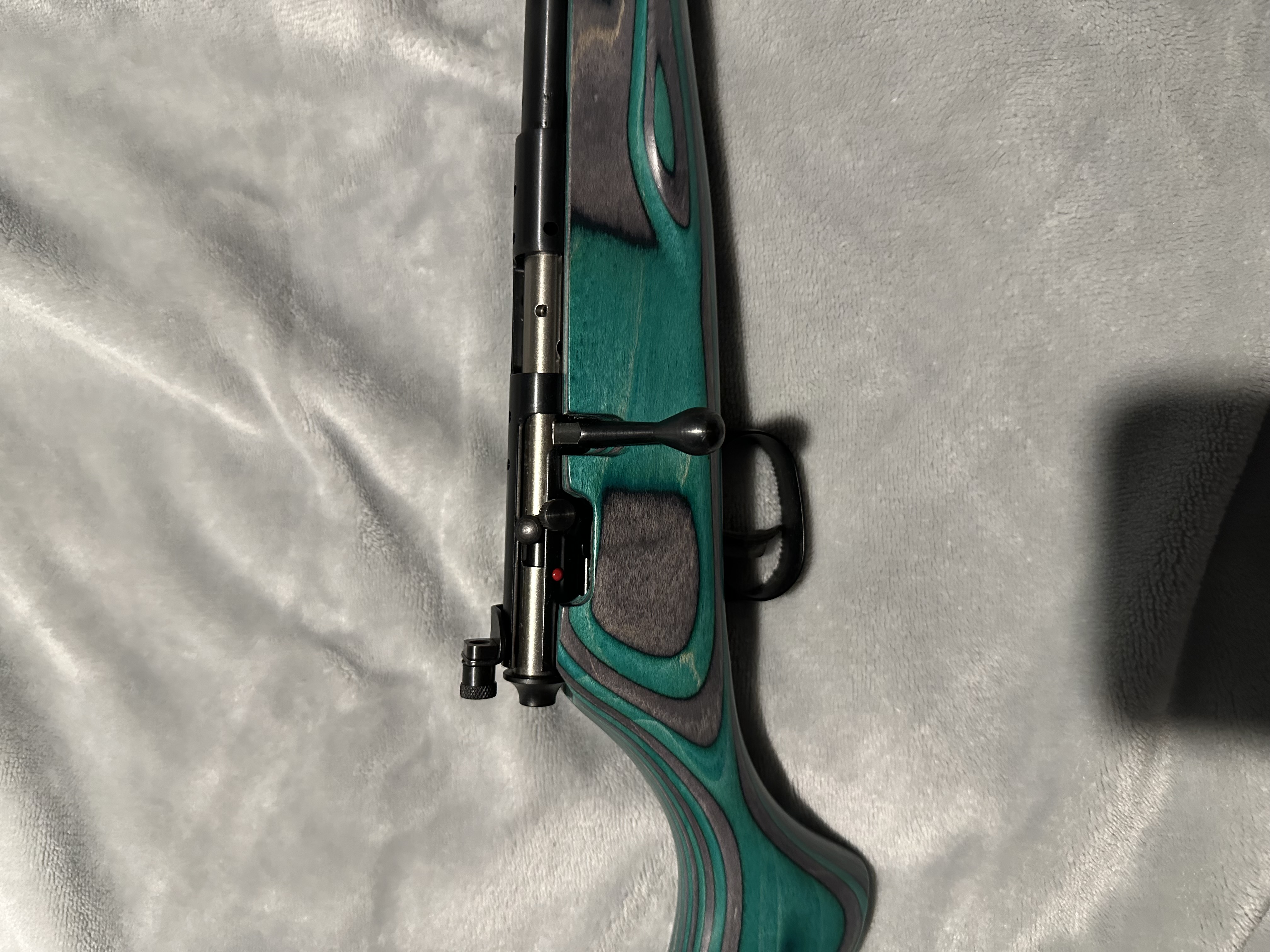 Photo of Savage Rascal Minimalist Bolt Action 22LR Teal and Gray