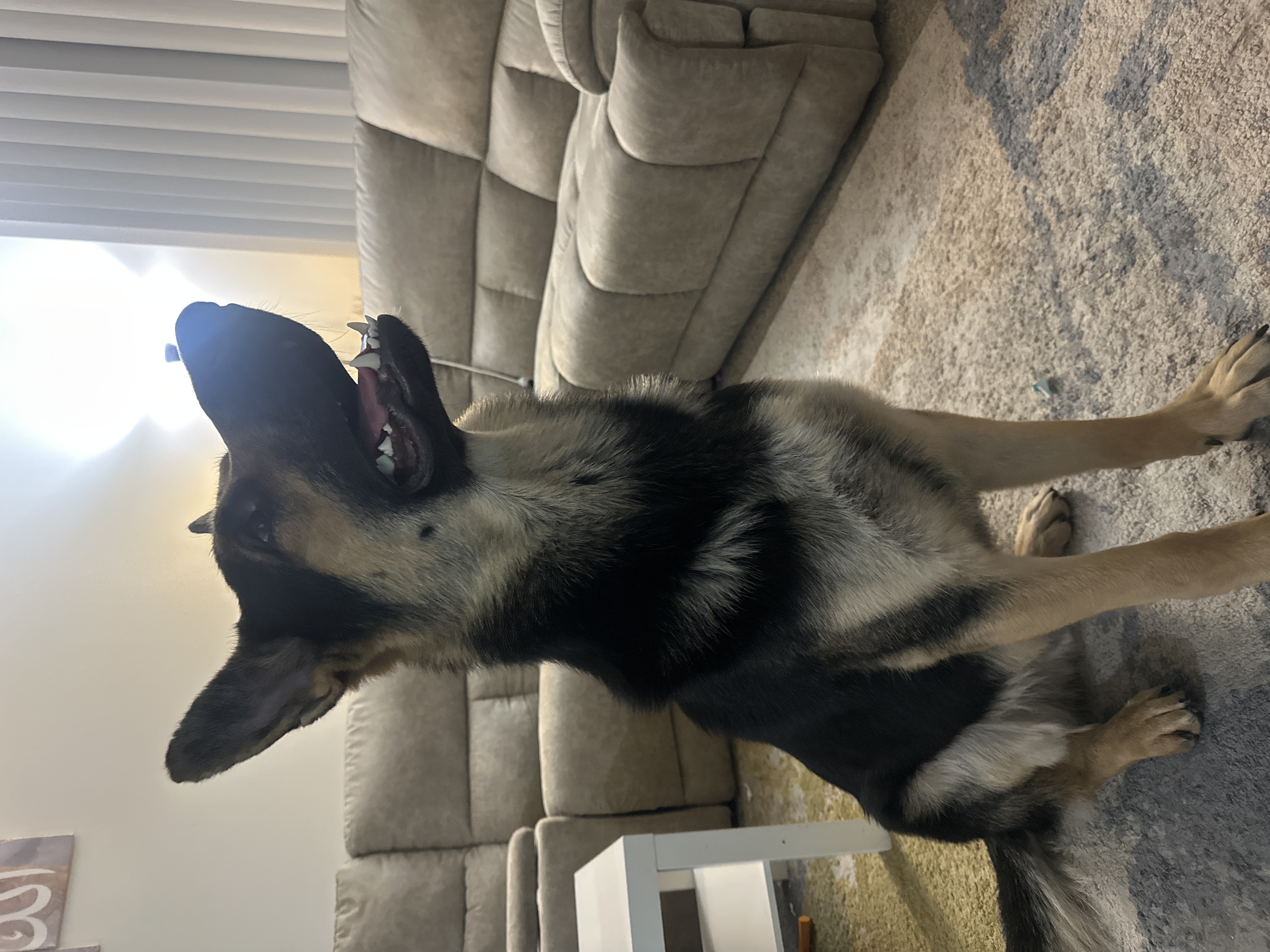 Photo of 820 5 ave sw