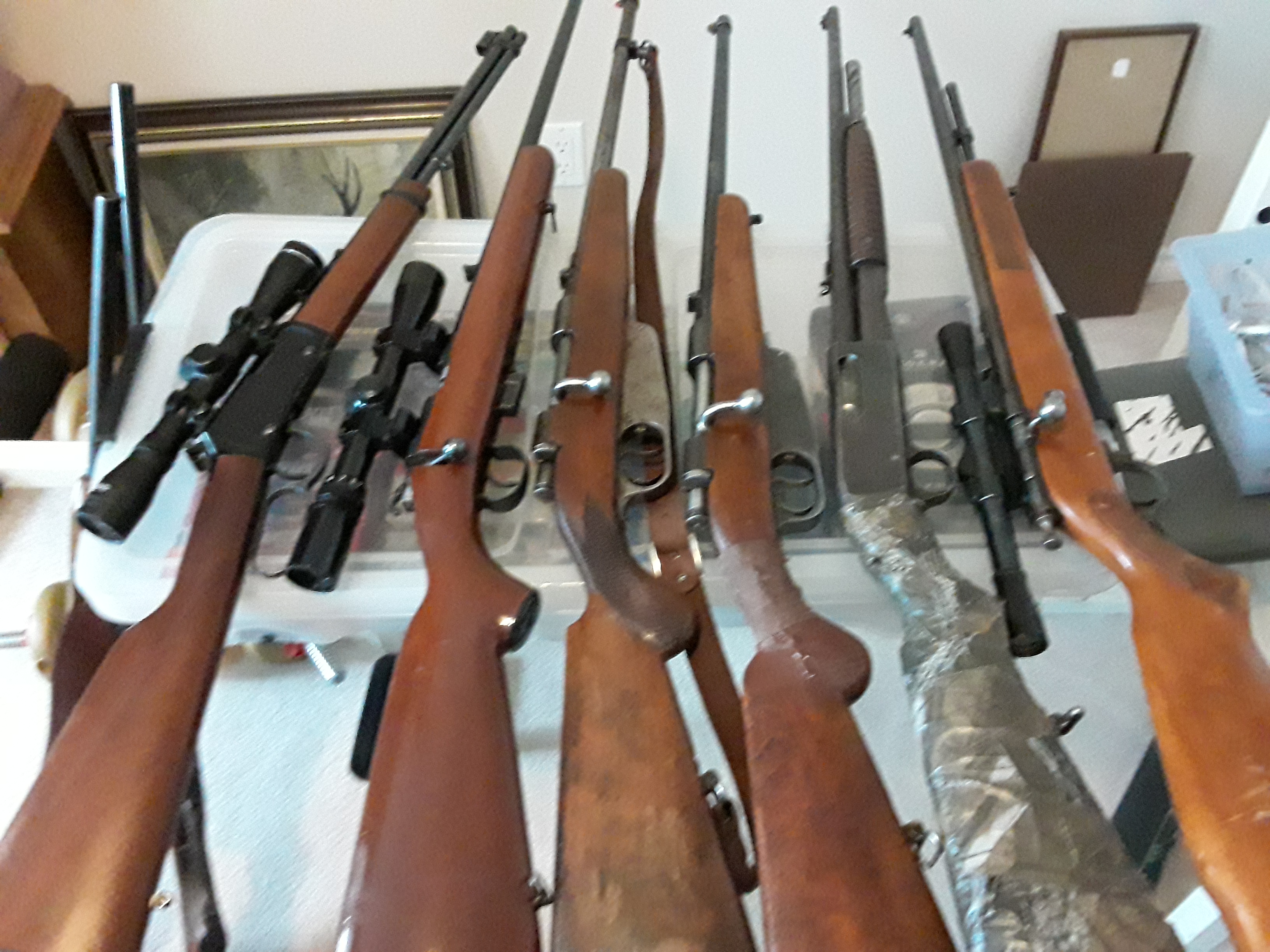 Photo of 6 Rifles