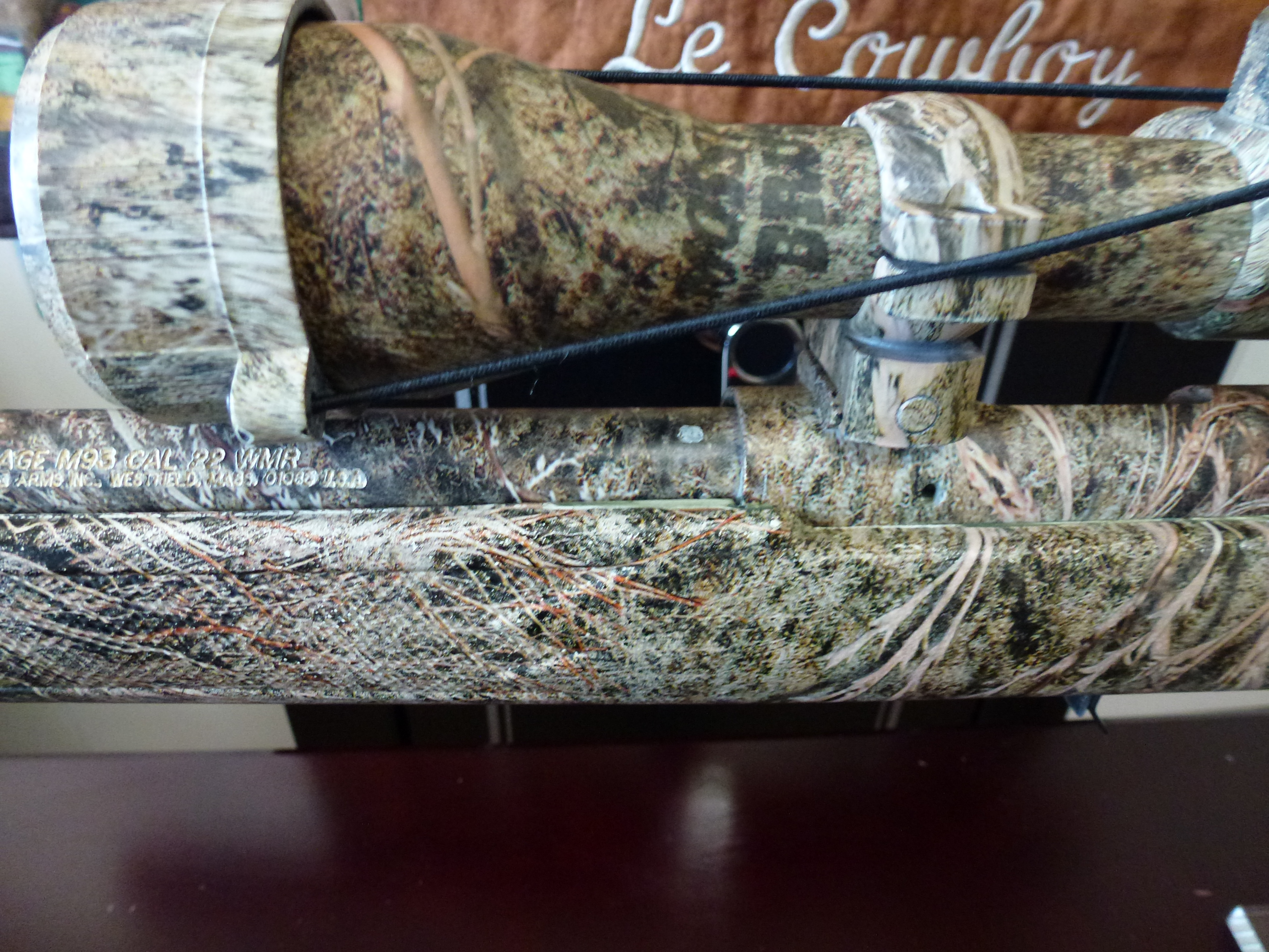 ***FREE SHIPPING***SAVAGE M93 BRUSH CAMO cal. .22 WRM WITH SCOPE ***  - 8 - 1743536067248_P1040238