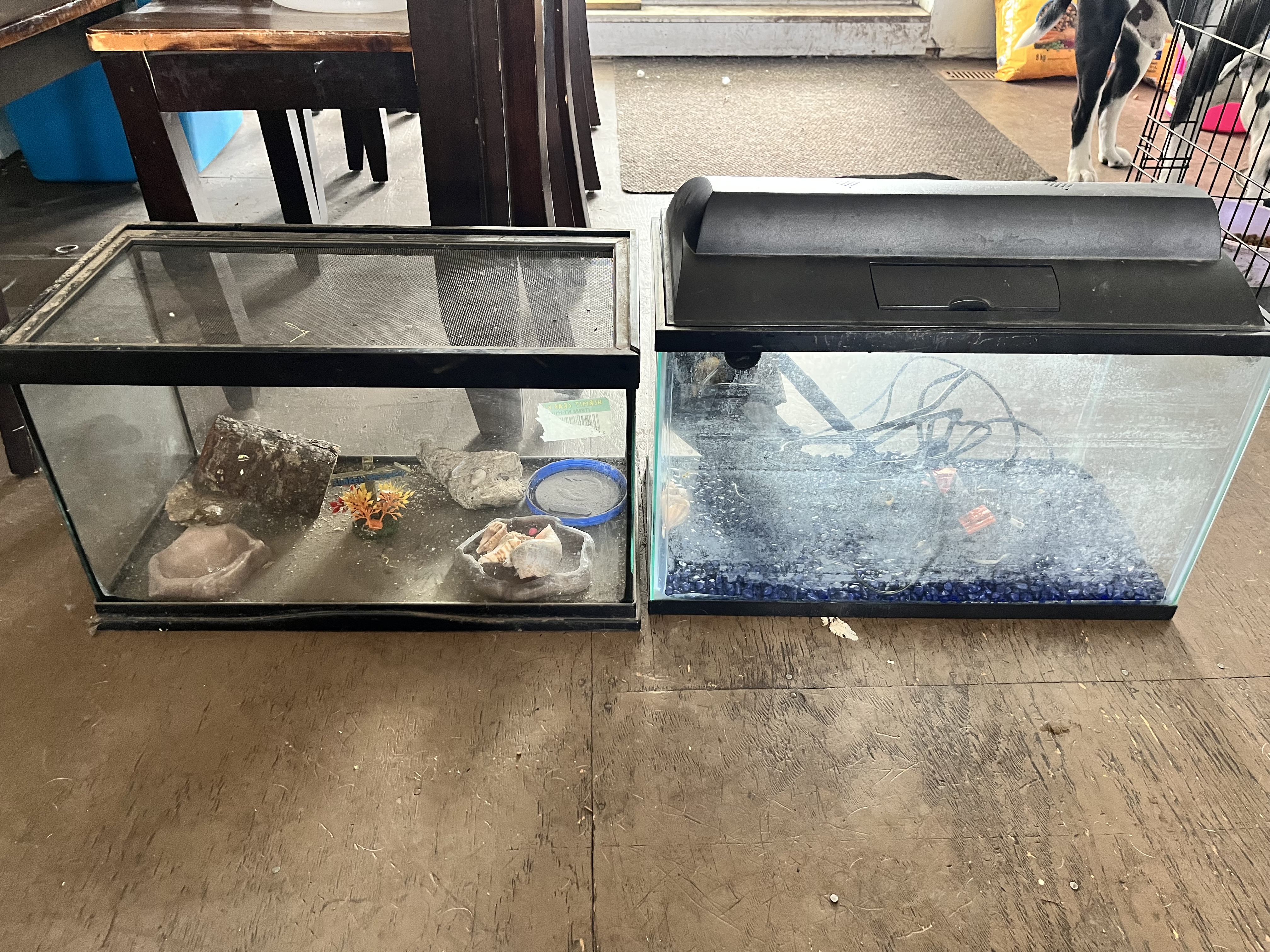 Photo of Fish tanks