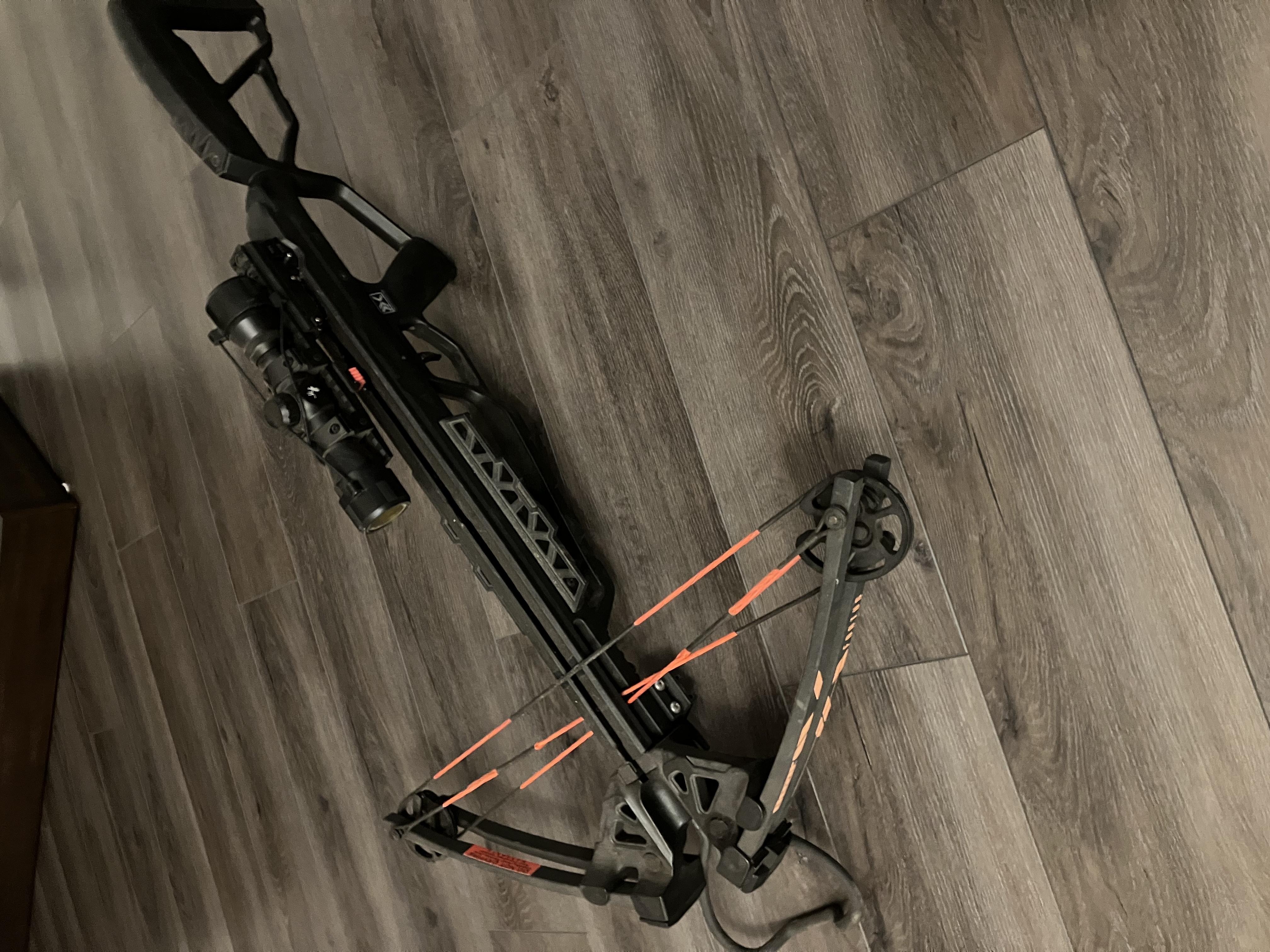 Photo of Bear X Fortus crossbow 
