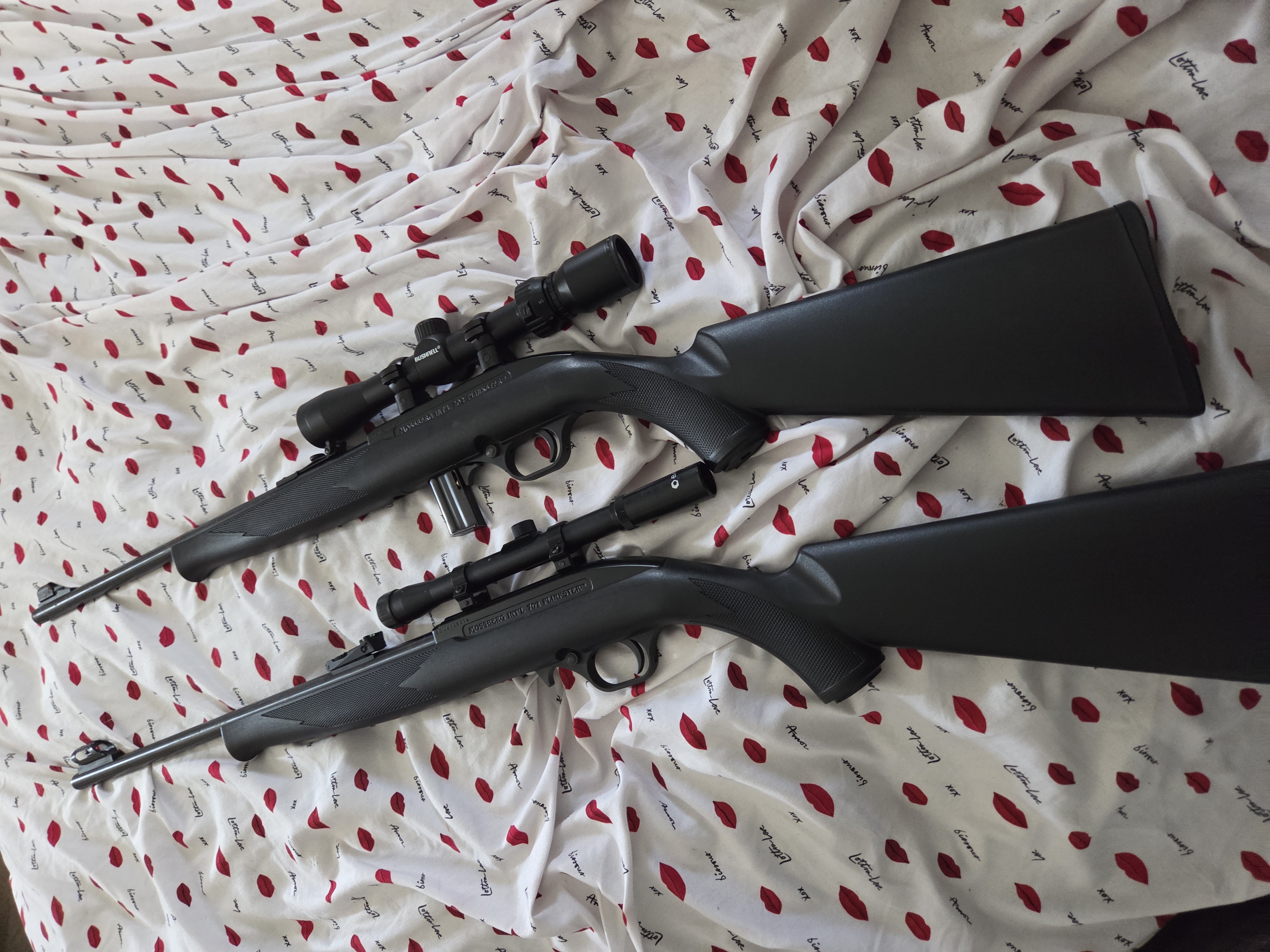 Photo of Mossberg plinksters