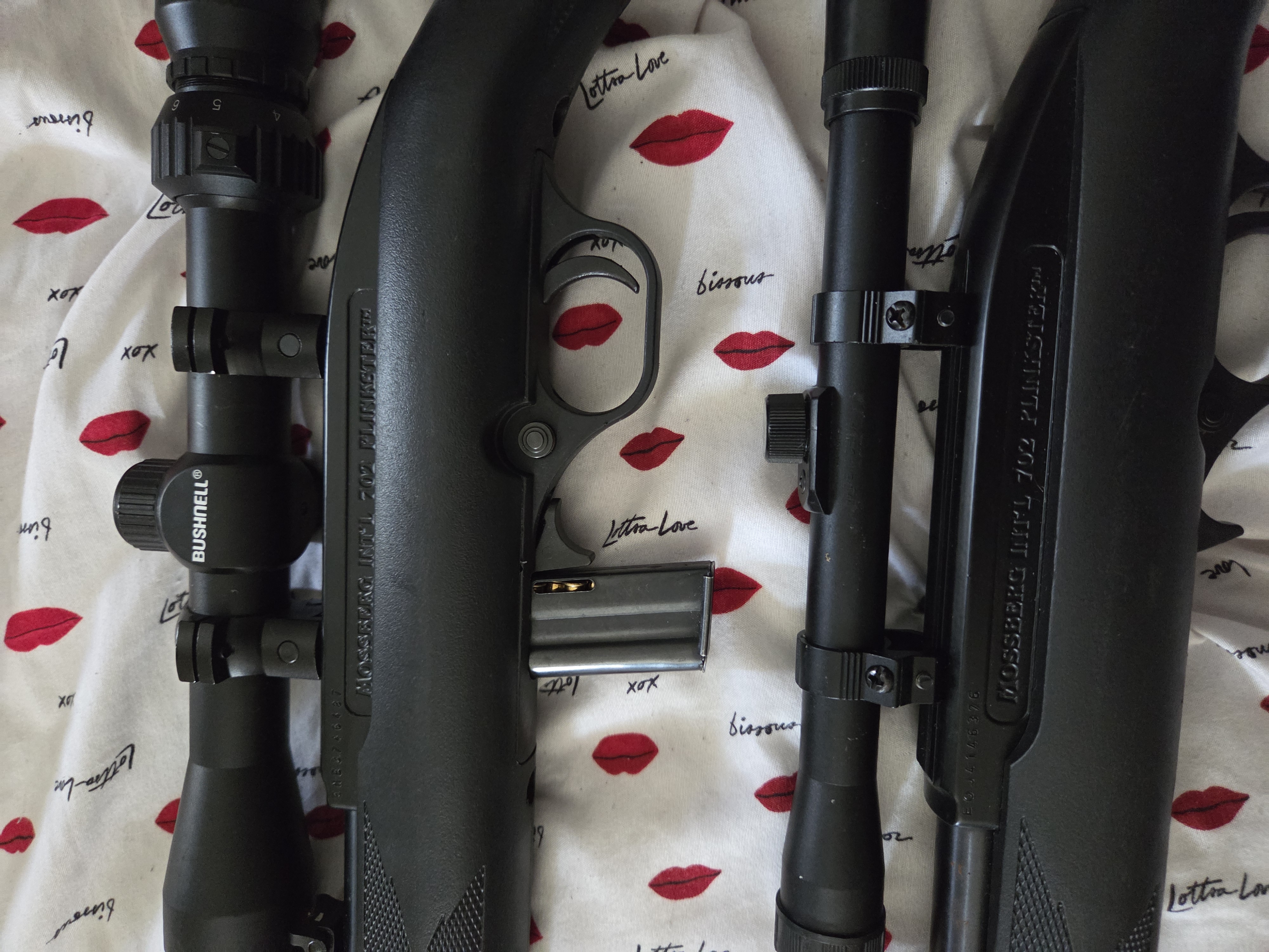 Photo of Mossberg plinksters