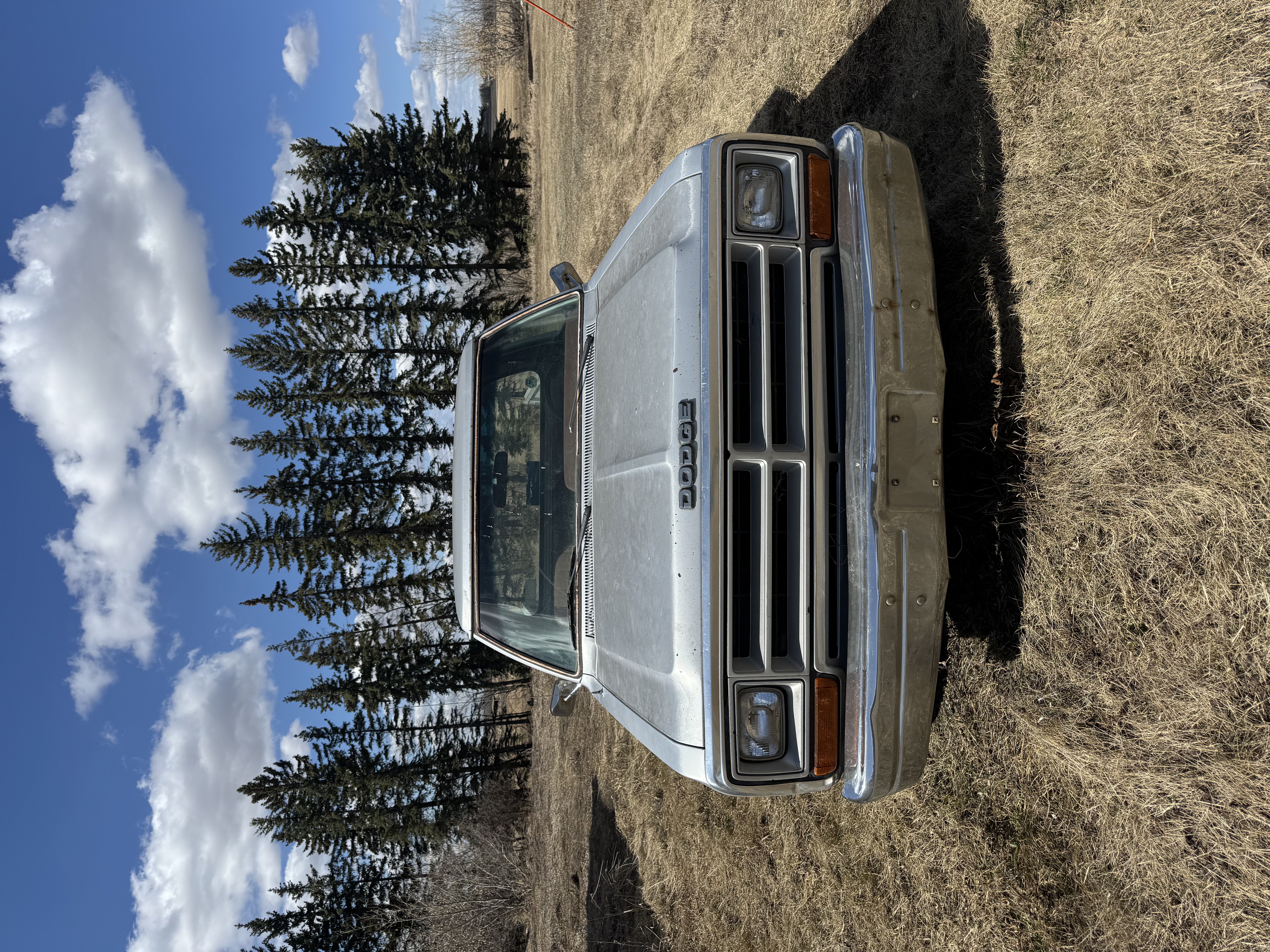 Photo of 1986 dodge 150