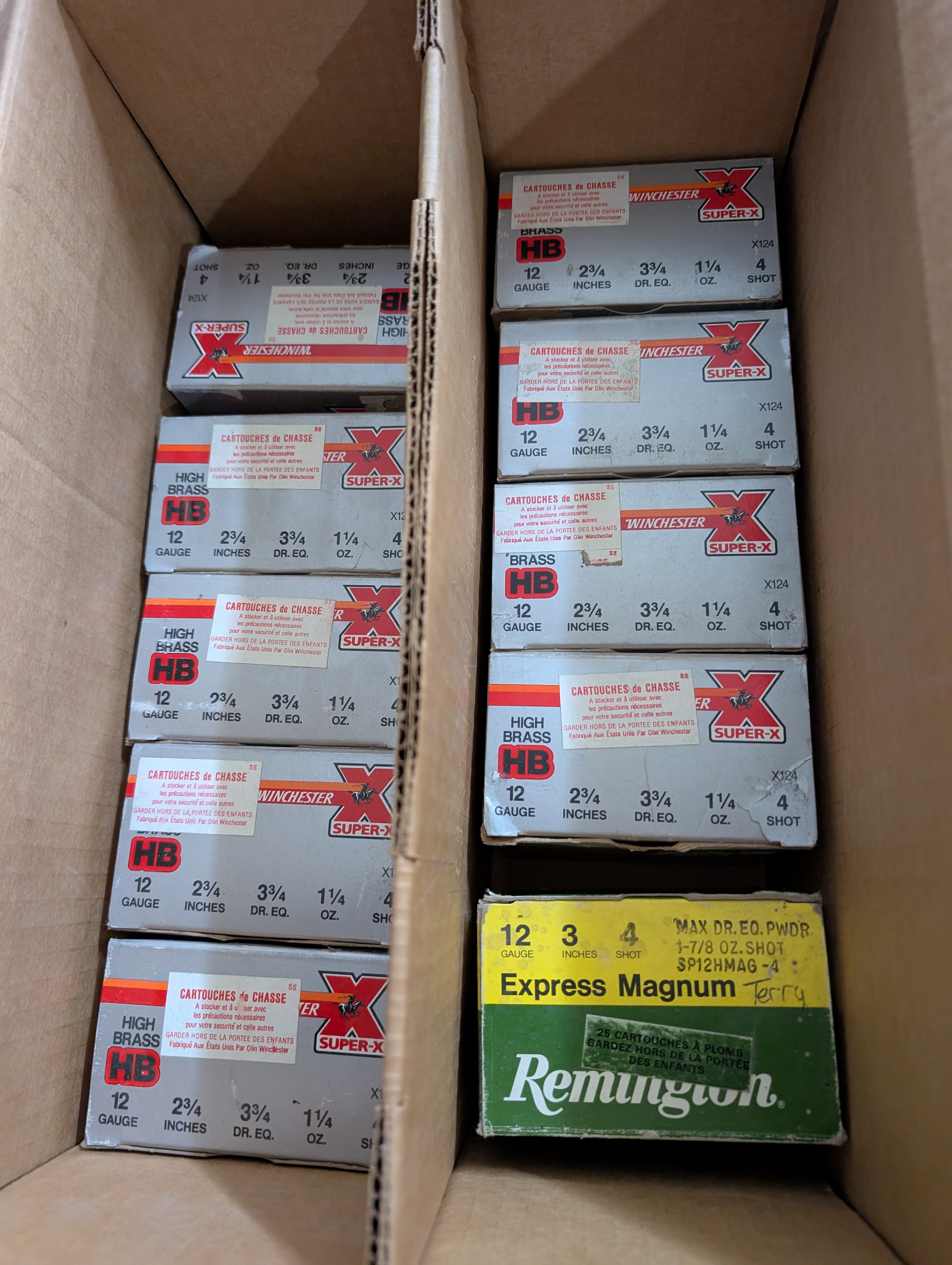 Photo of Shotgun Shells 