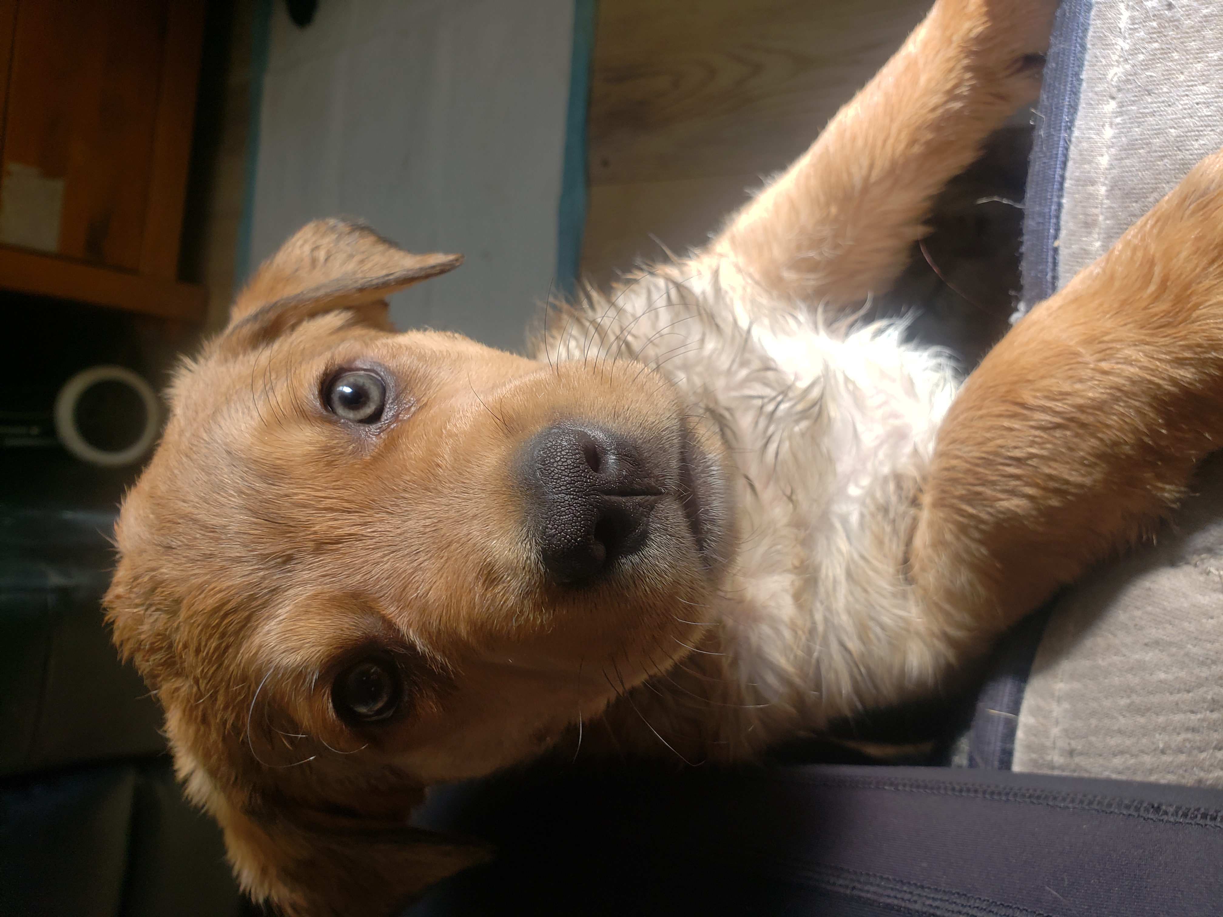 Photo of Lab X pit/corso