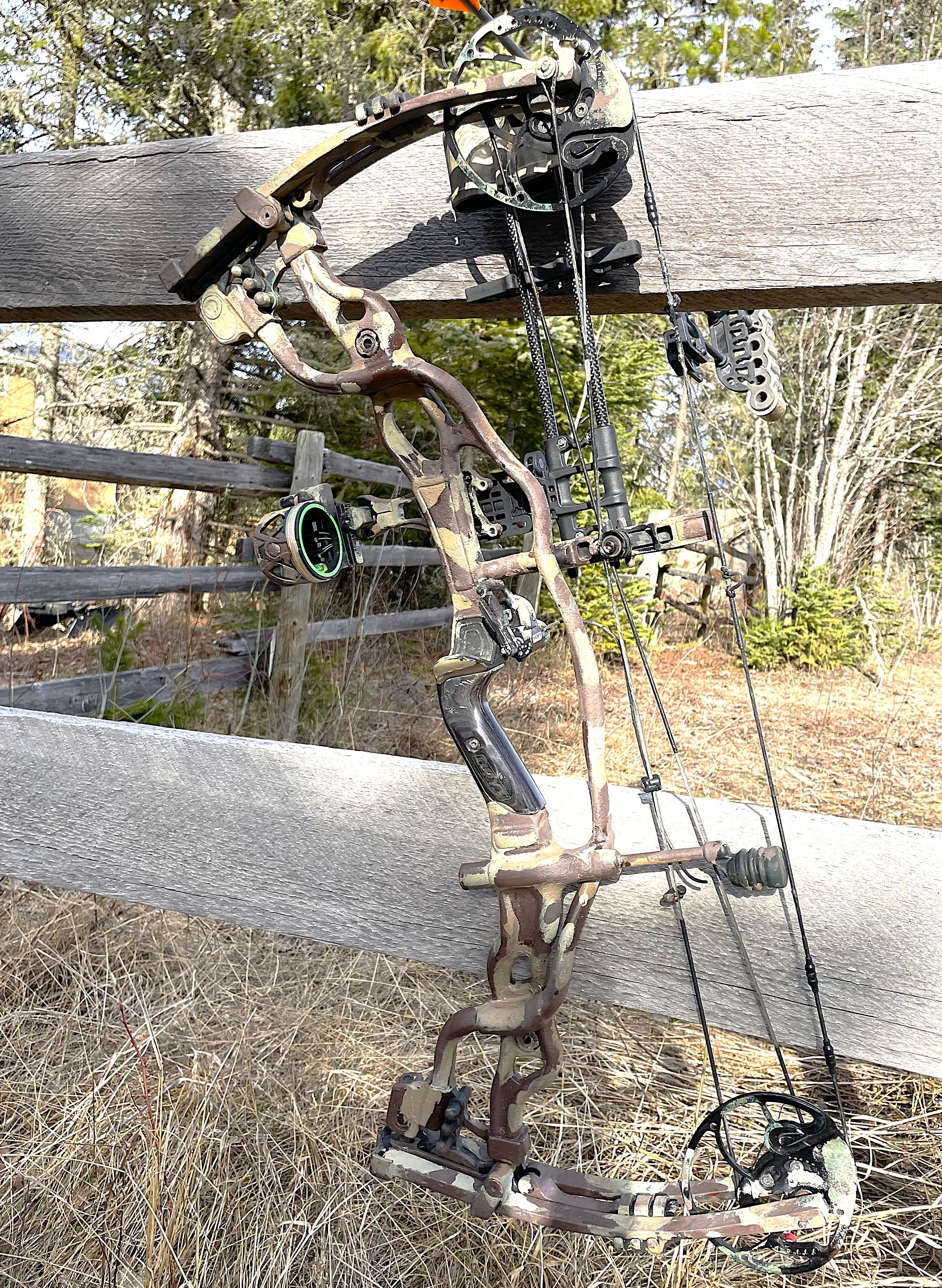 Photo of HOYT CARBON SPYDER BOW