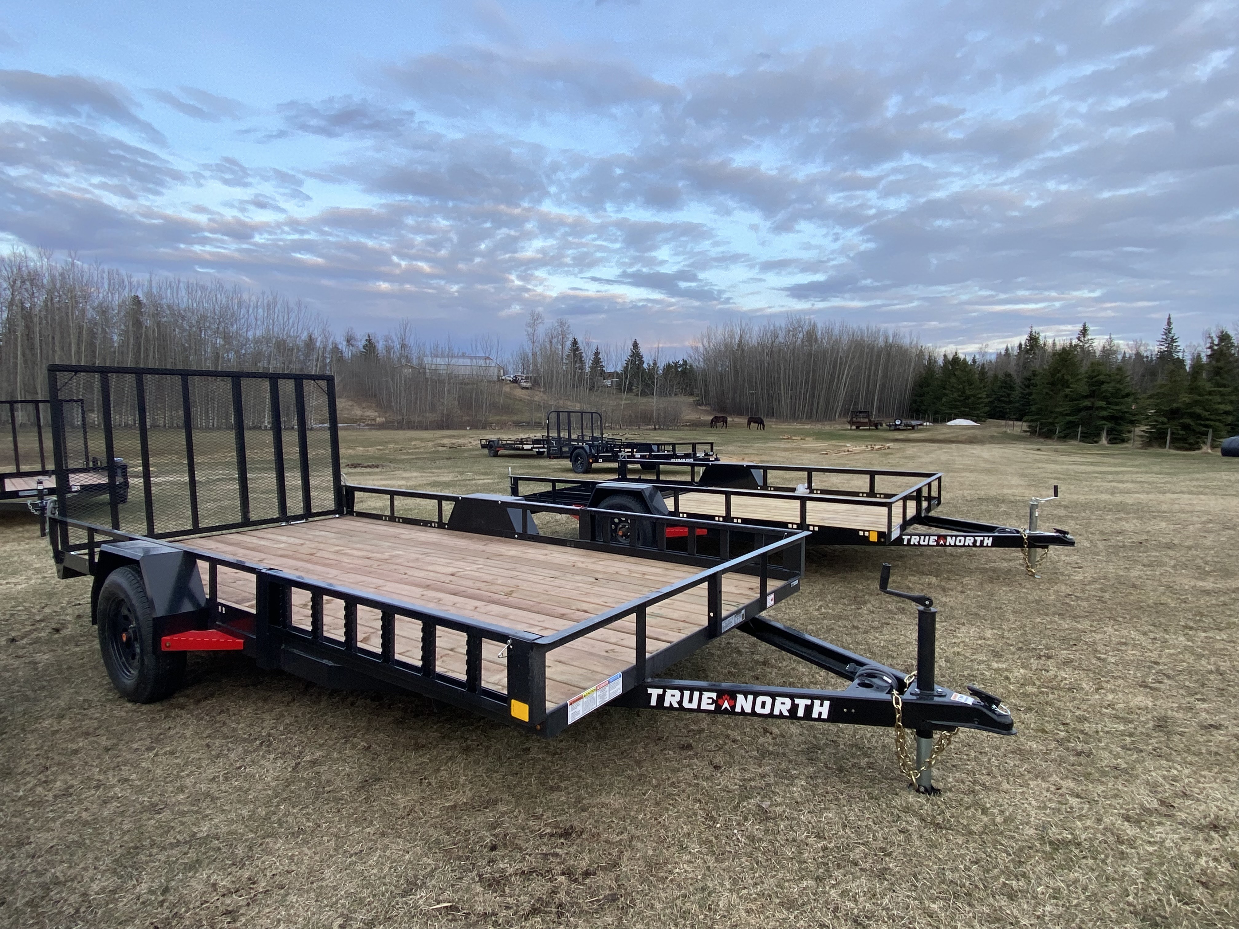 Photo of True North 83" x 14' Utility Trailer