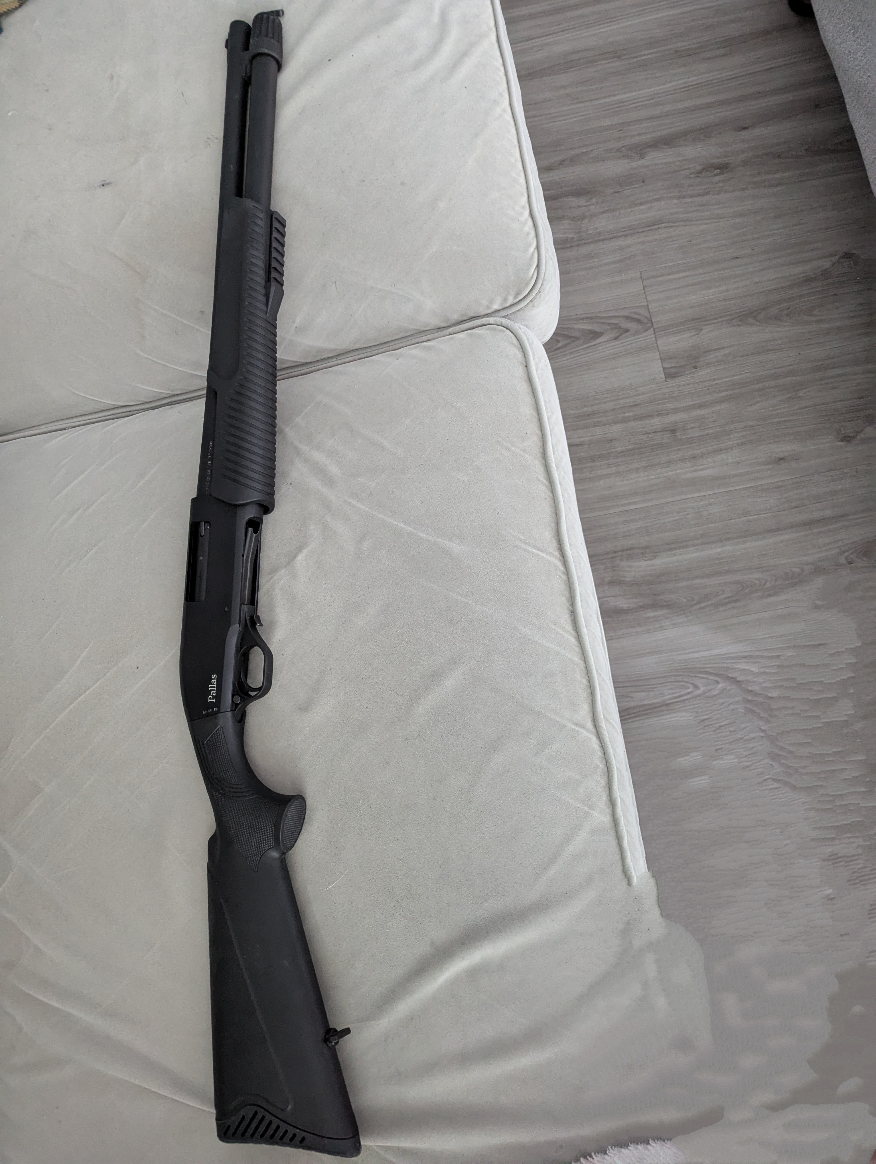 Photo of Shotgun Pallas 