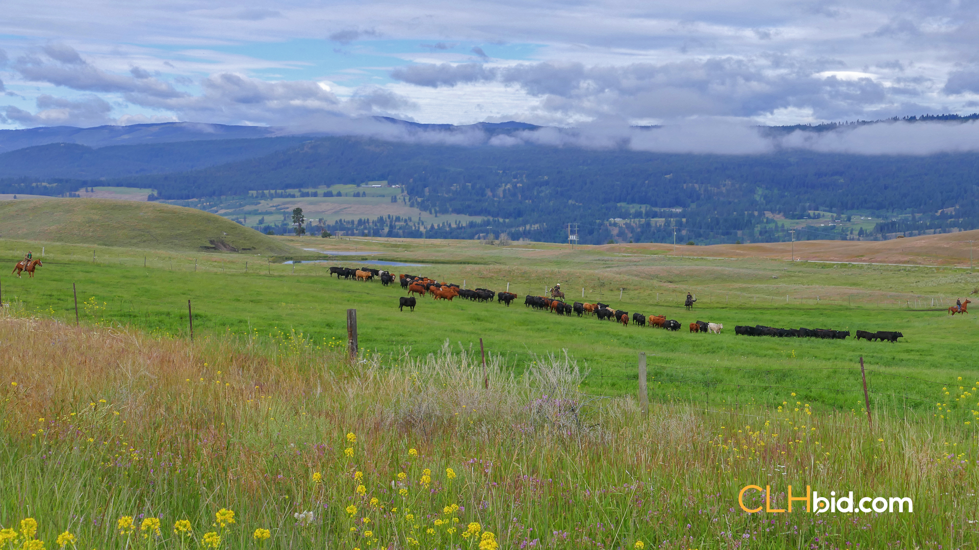 Photo of 83,698 Acres Farm Land For Sale - Princeton, BC