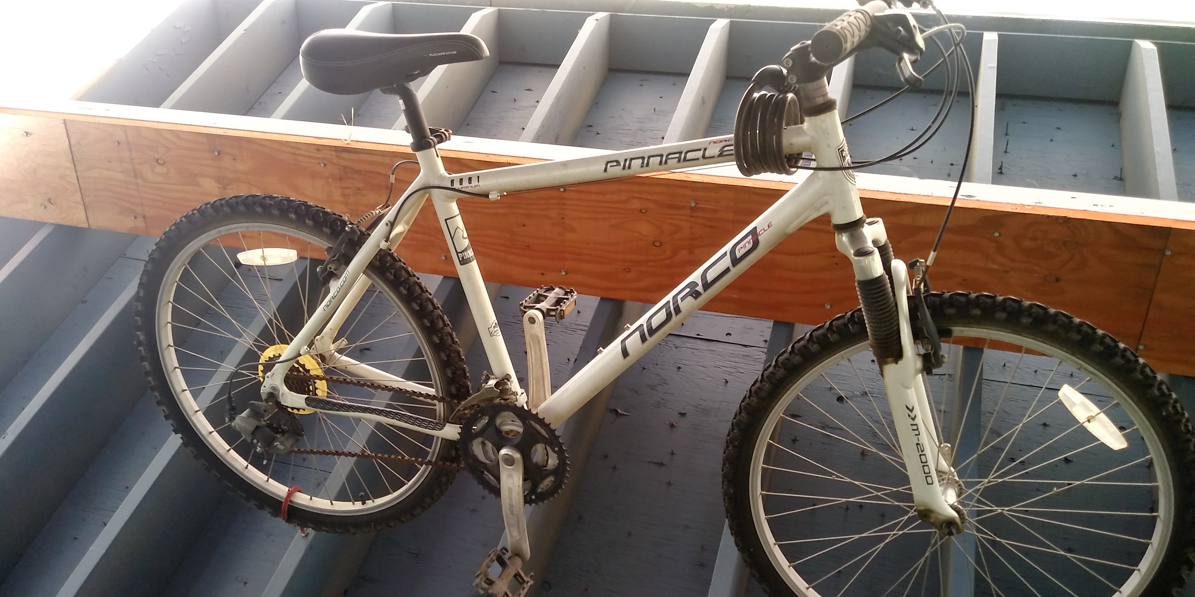 Photo of Adult Norco Pinnacle bike, 2006 model