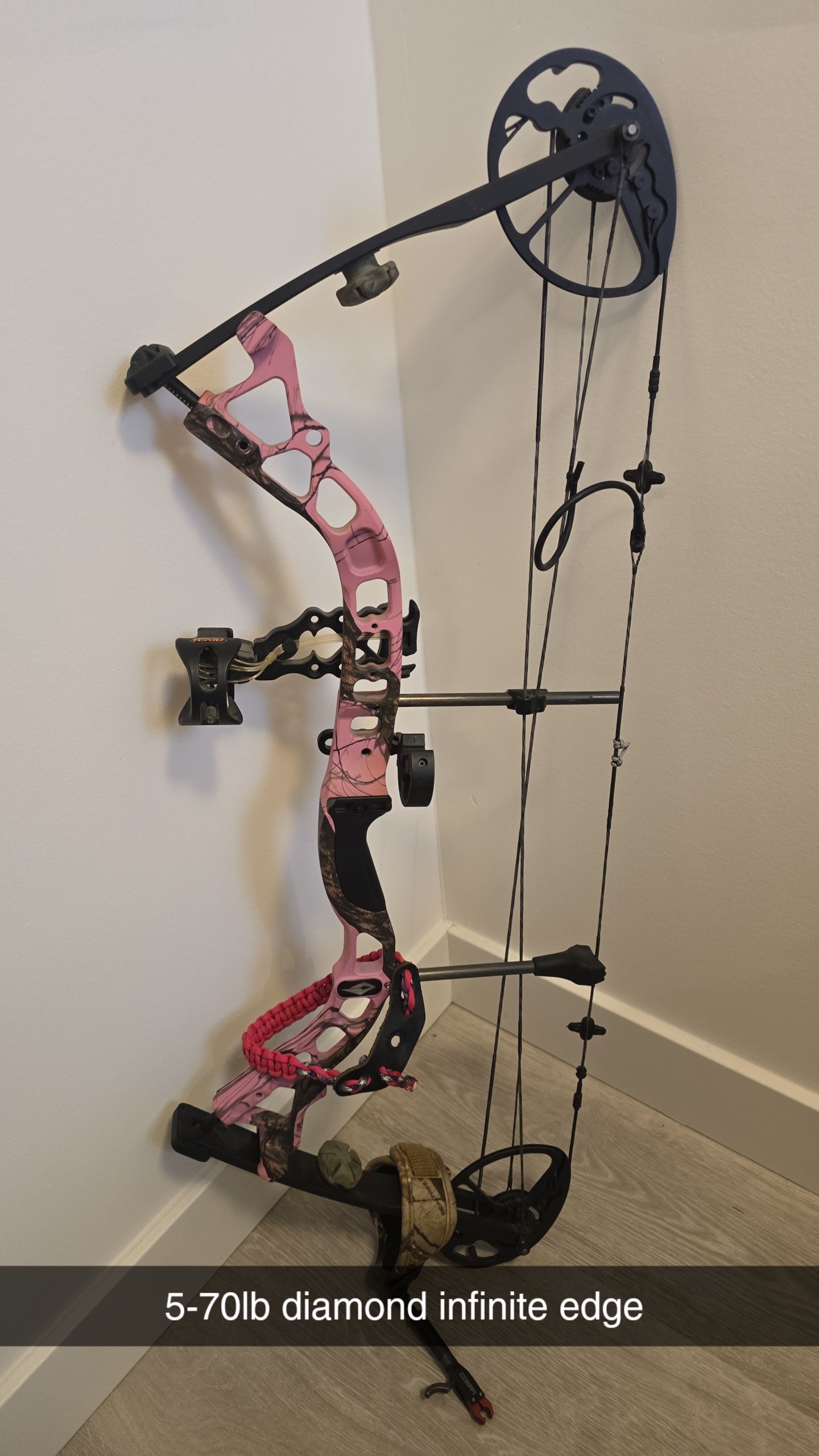 Photo of Compound bows