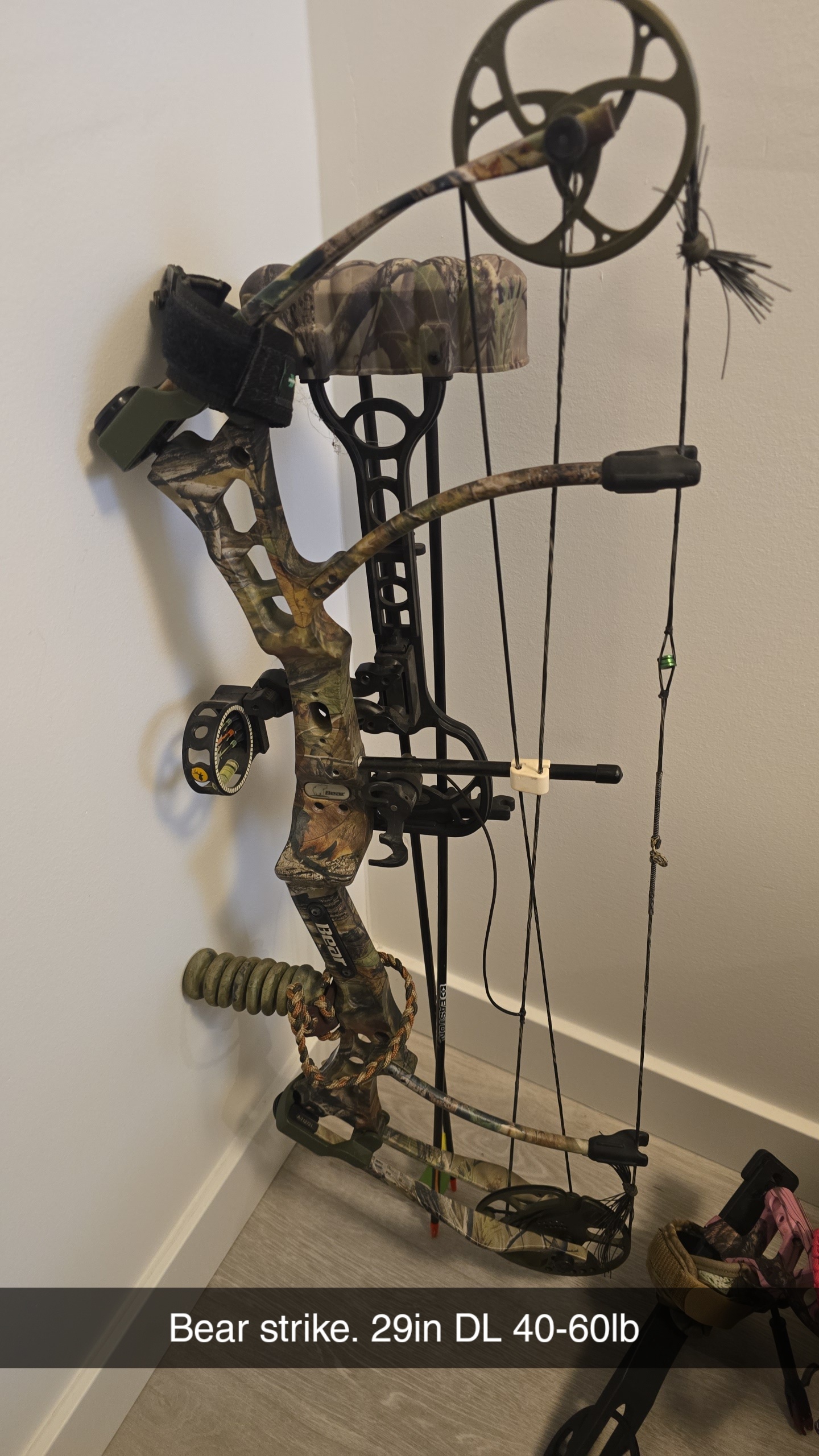 Photo of Compound bows