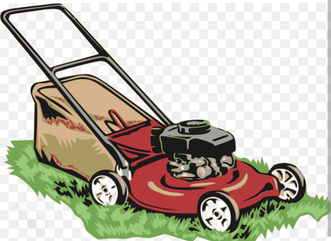 Photo of Wanted: Buying Push Mowers