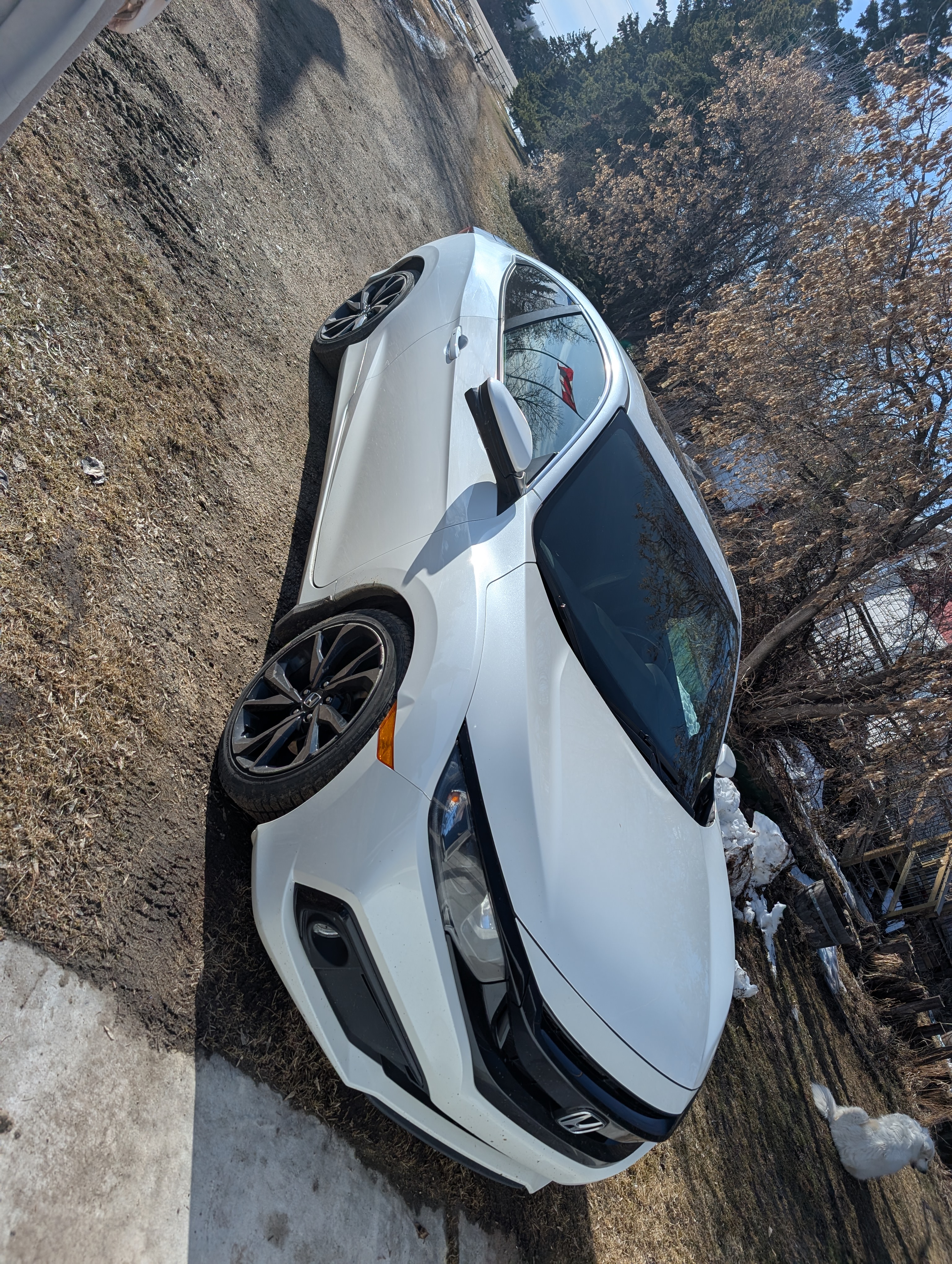 Photo of 2020 Honda Civic Coupe