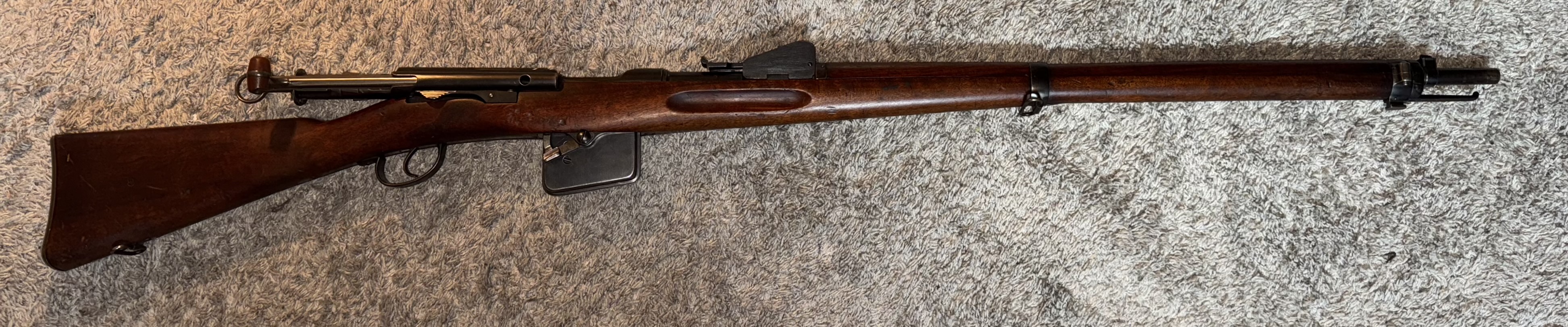 Photo of Schmidt Rubin 1889