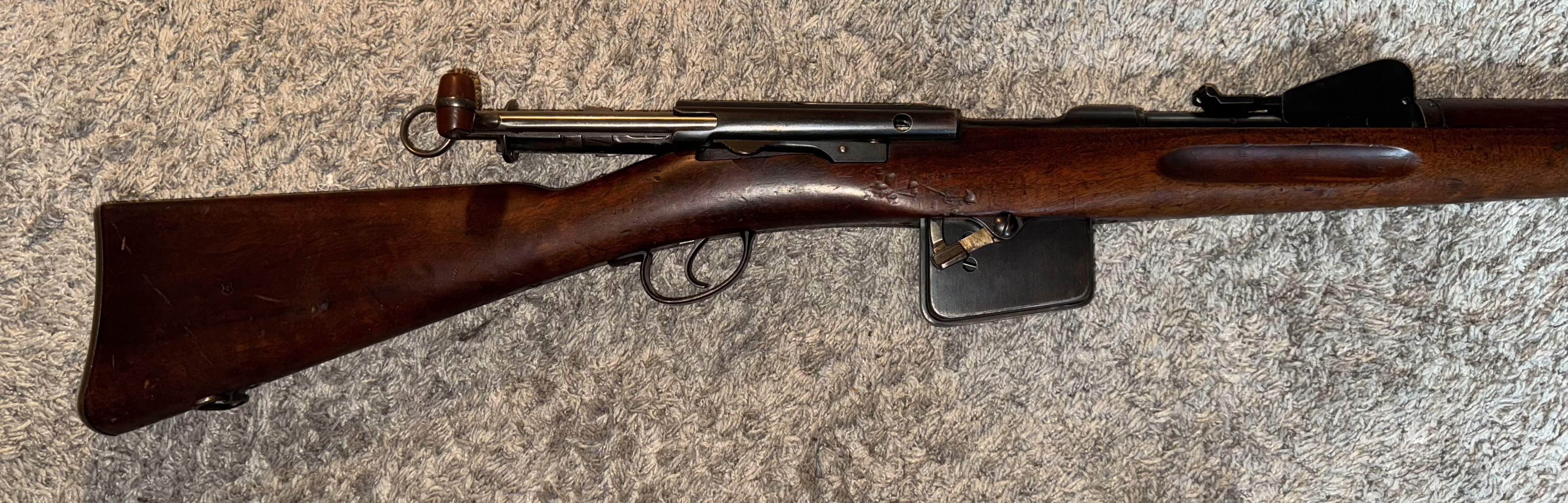 Photo of Schmidt Rubin 1889