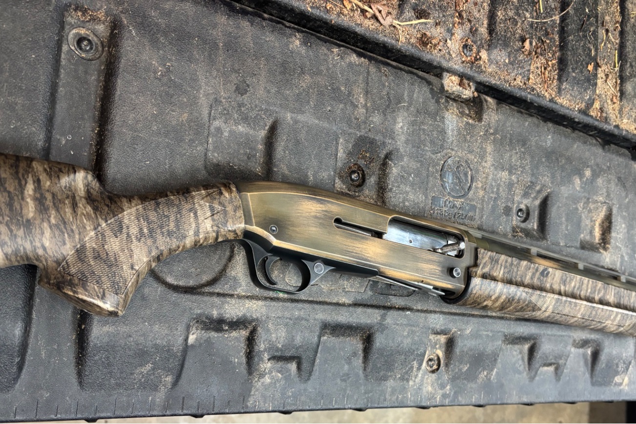 Photo of Browning Gold 10GA