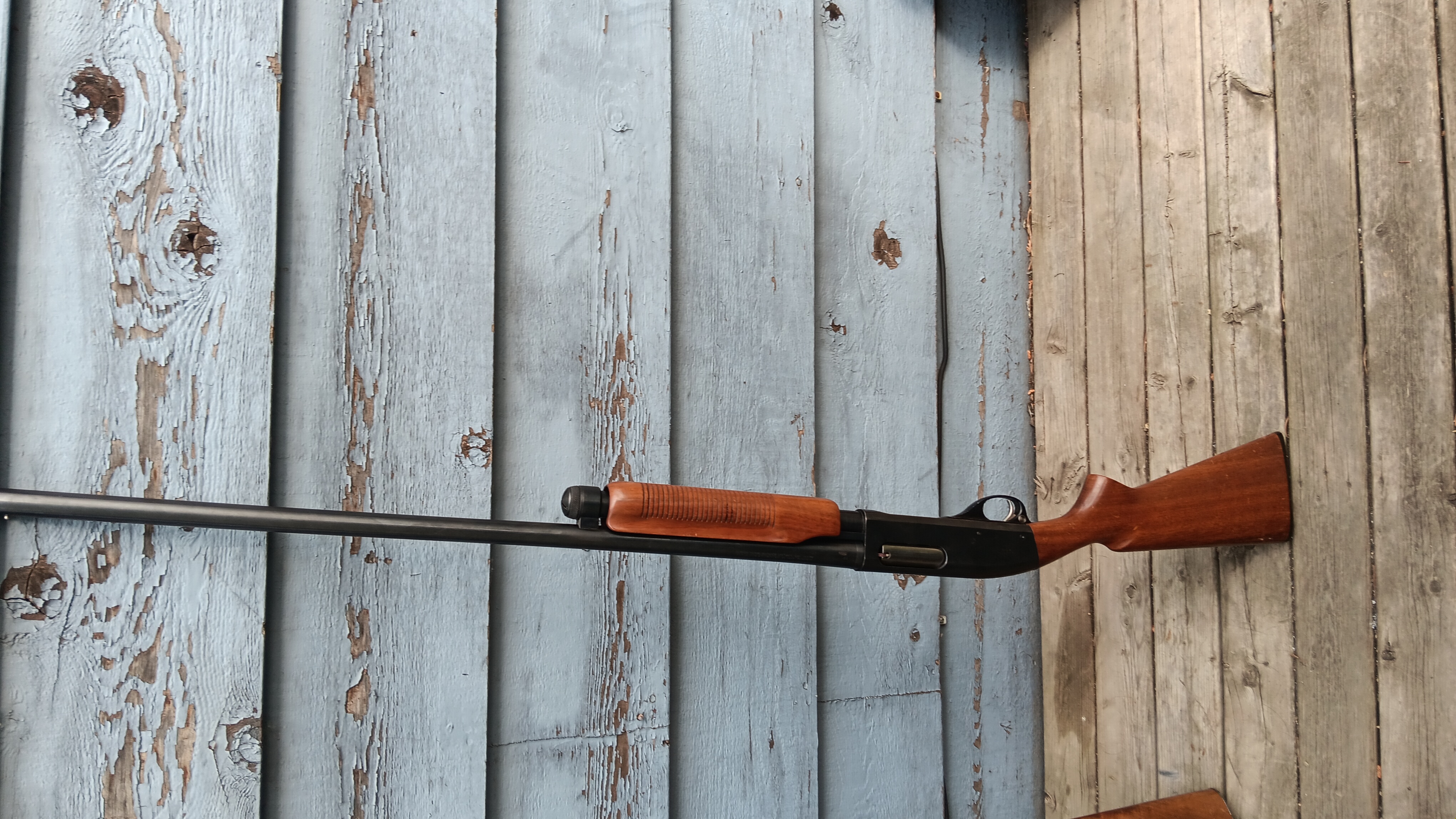 Photo of 308 & 12ga.