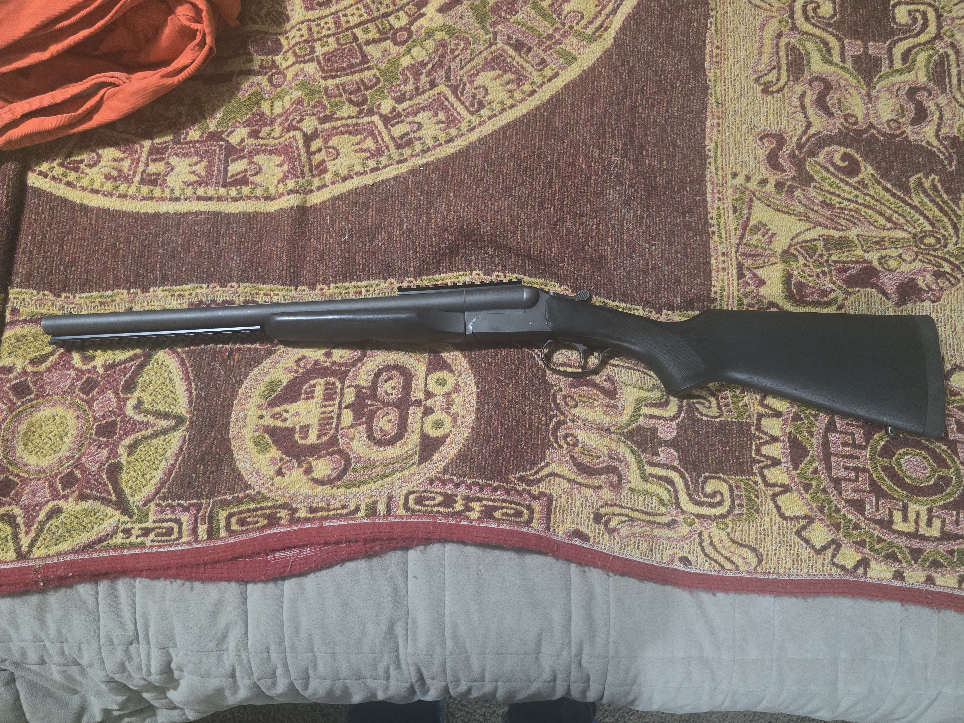 Photo of Steger double defense coach gun