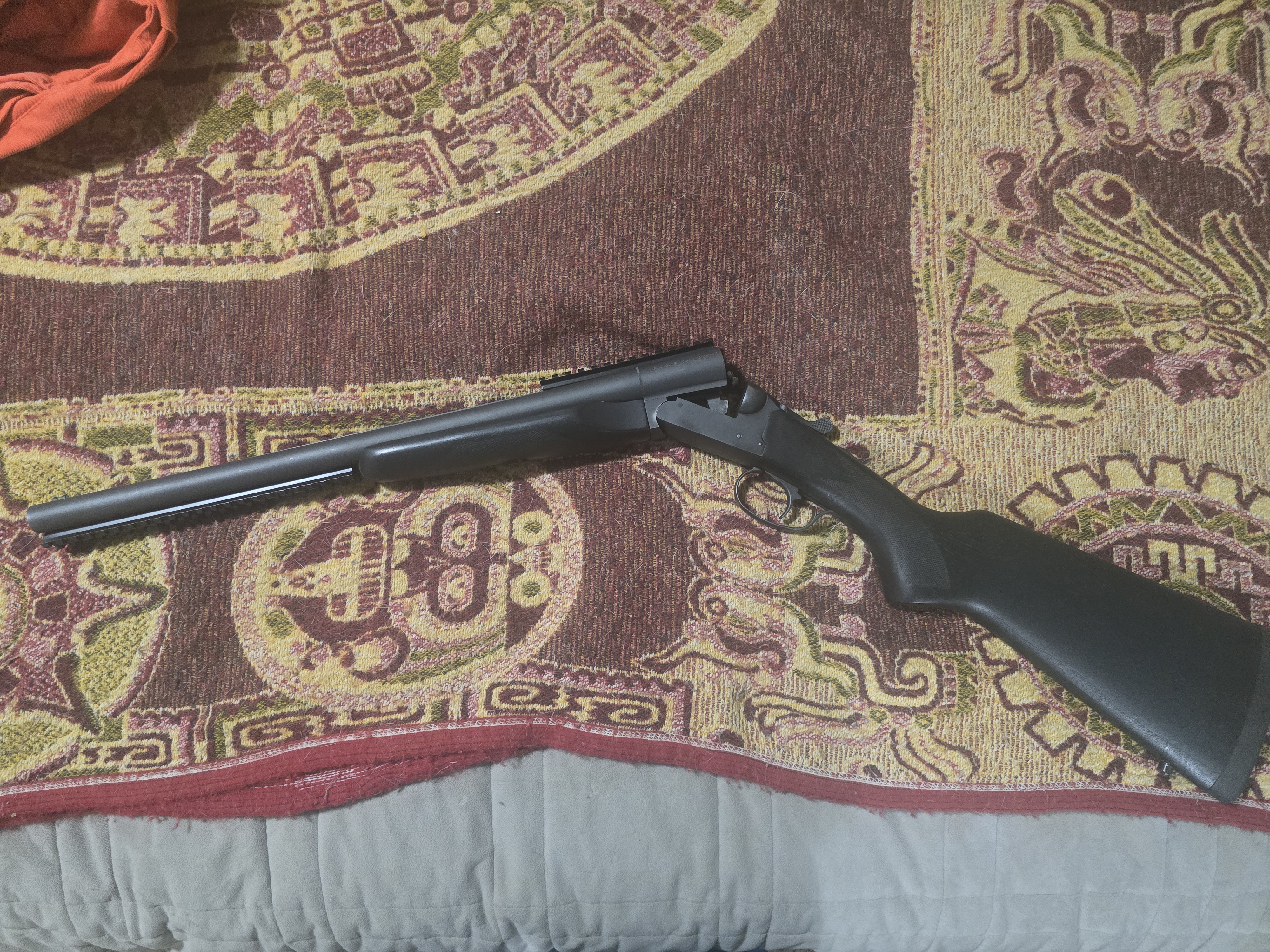 Photo of Steger double defense coach gun