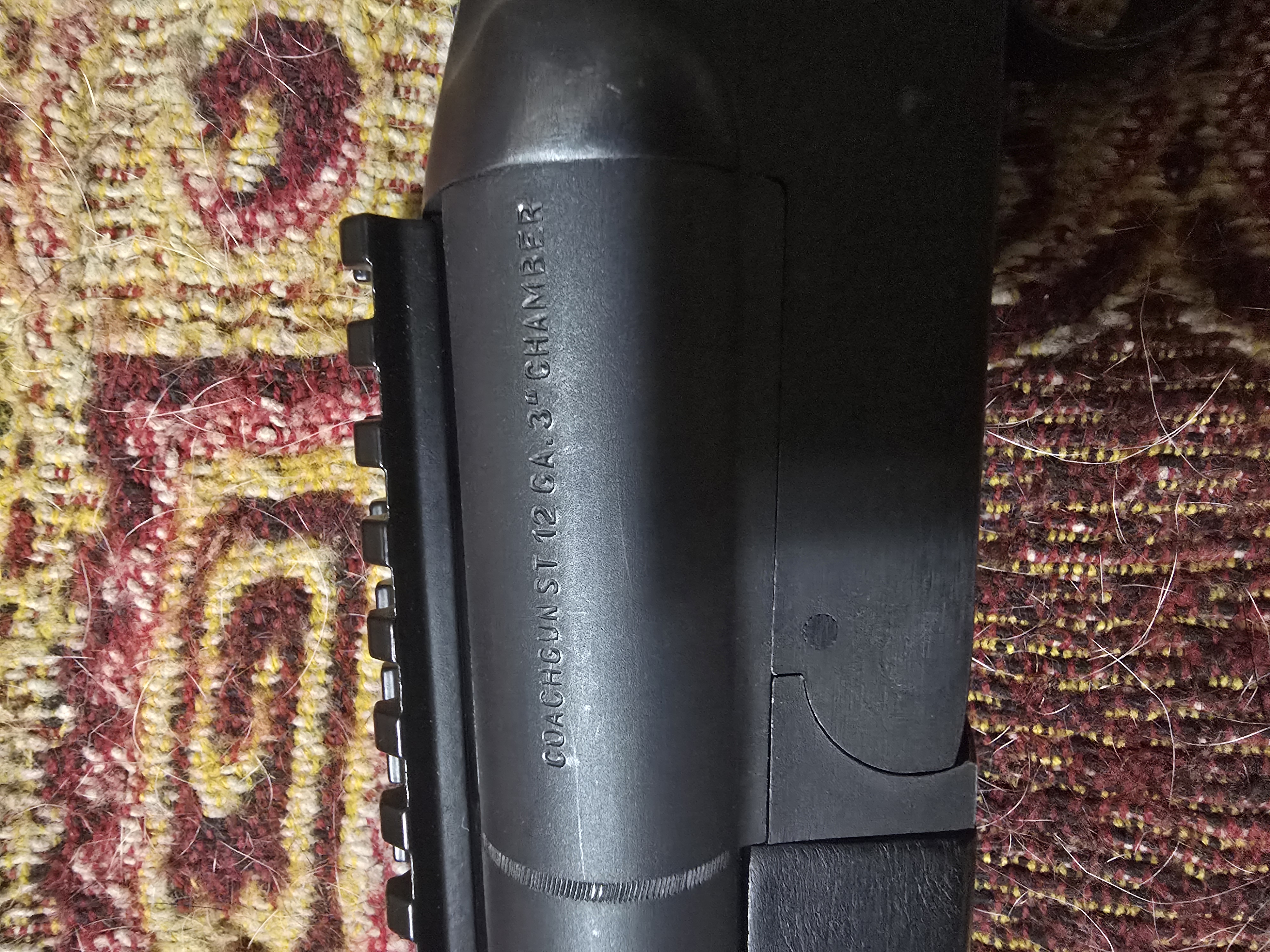 Photo of Steger double defense coach gun