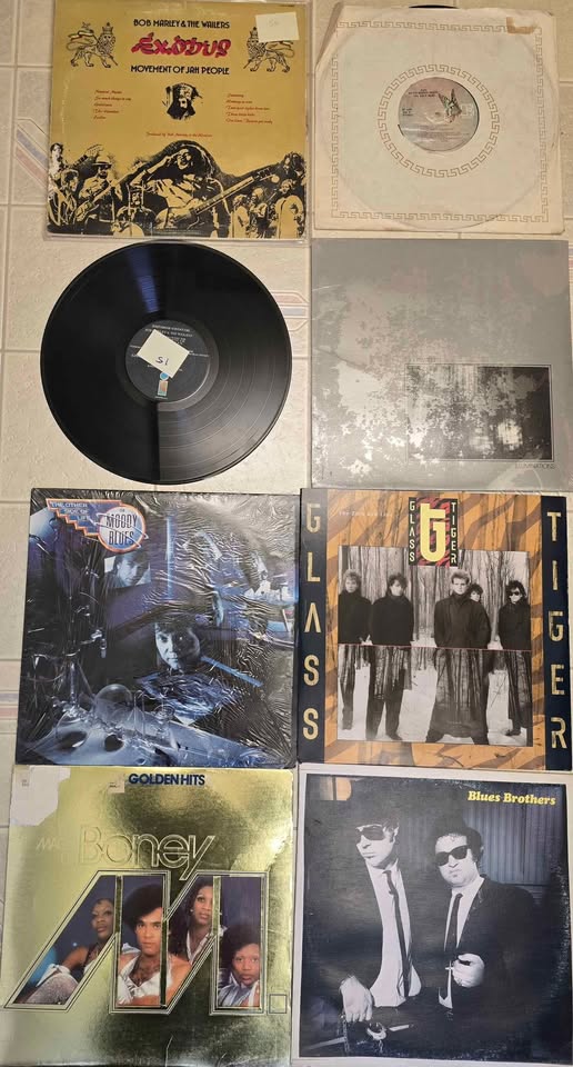 Photo of Records BOB MARLEY, BLUES BROTHERS, MOODY BLUES,GLASS TIGER,T.J. LAWRENCE, DOORS