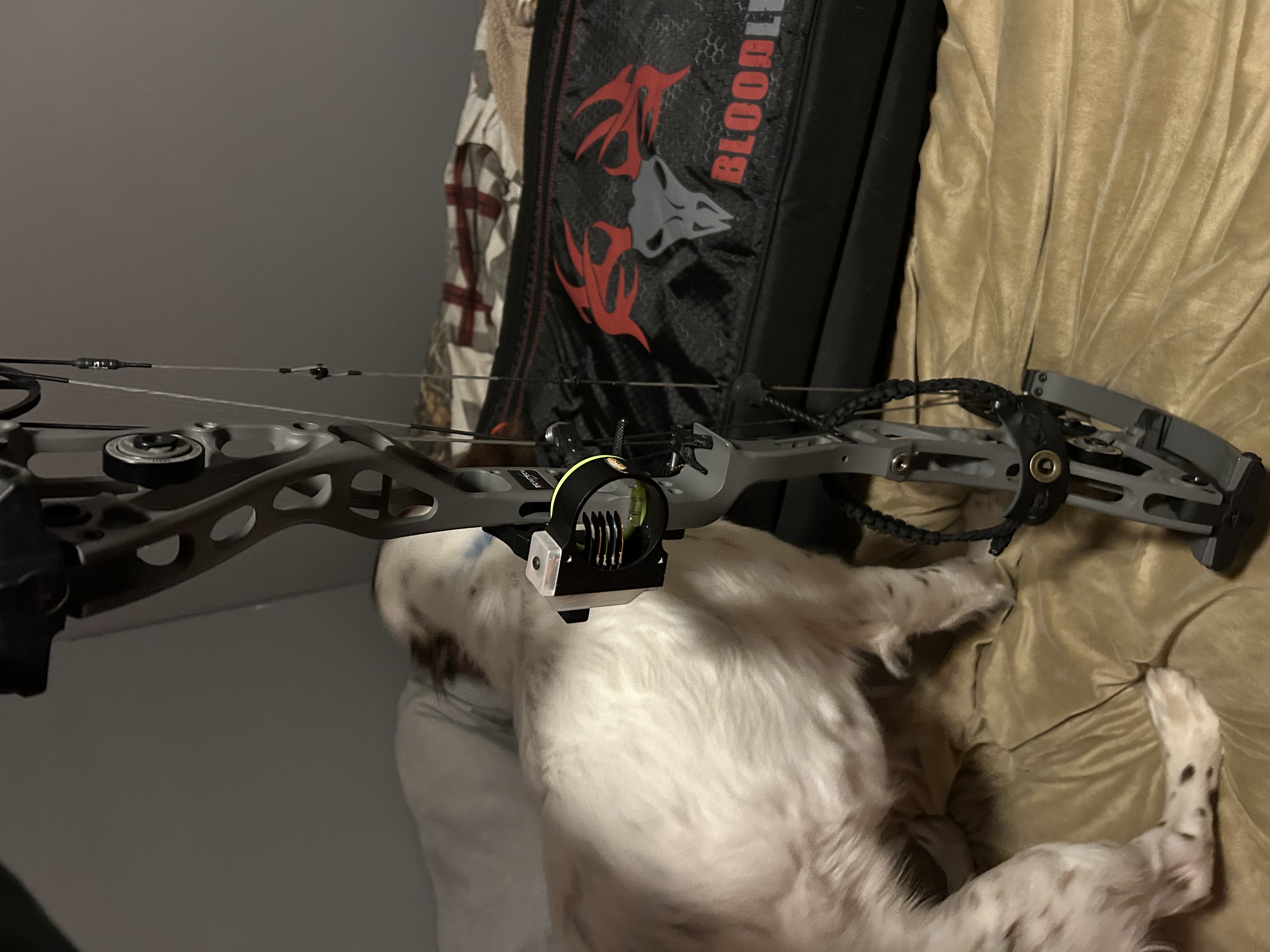 Photo of Bowtech cor ss