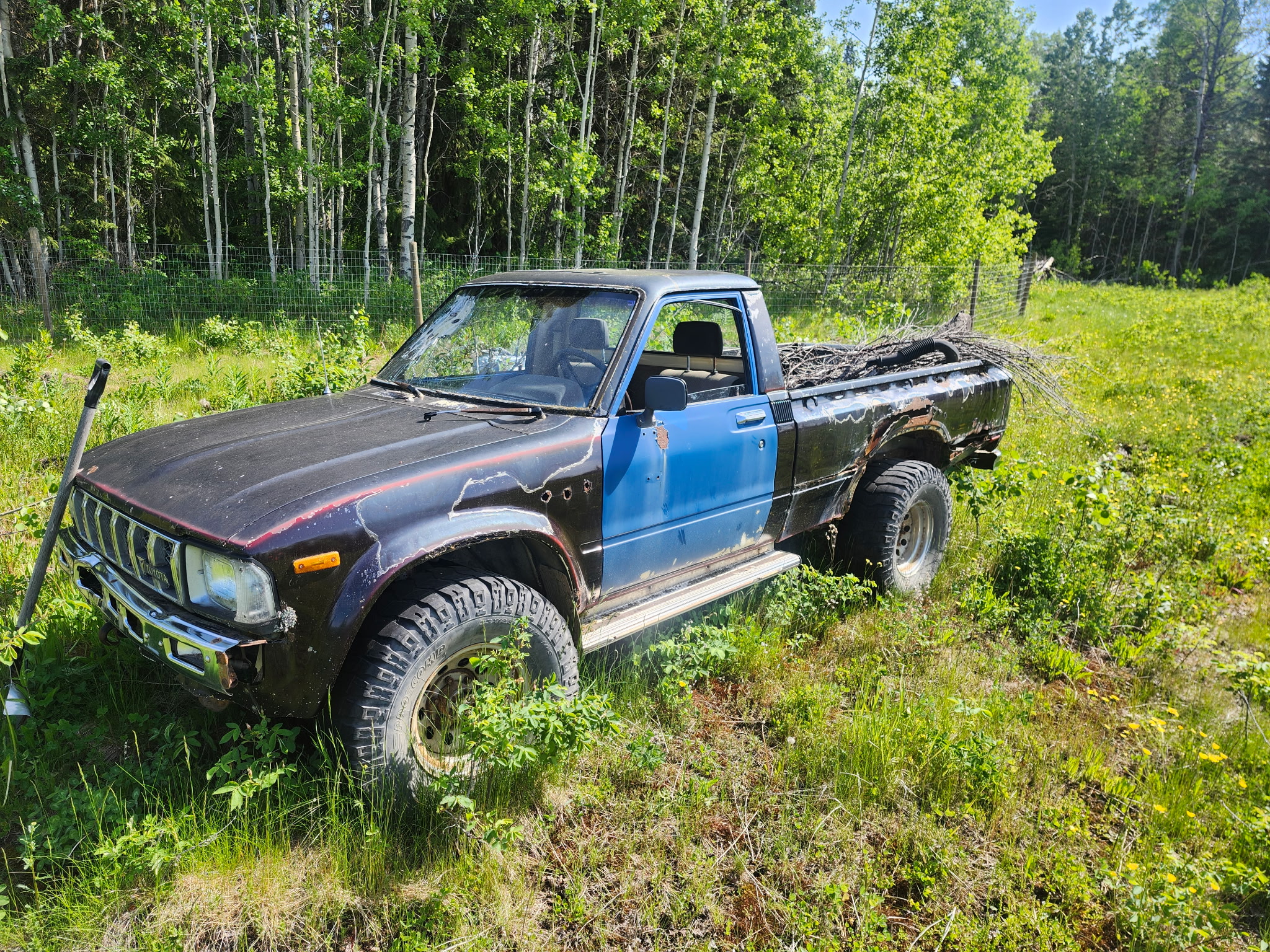 Photo of Toyota Pickups 1980 ISO