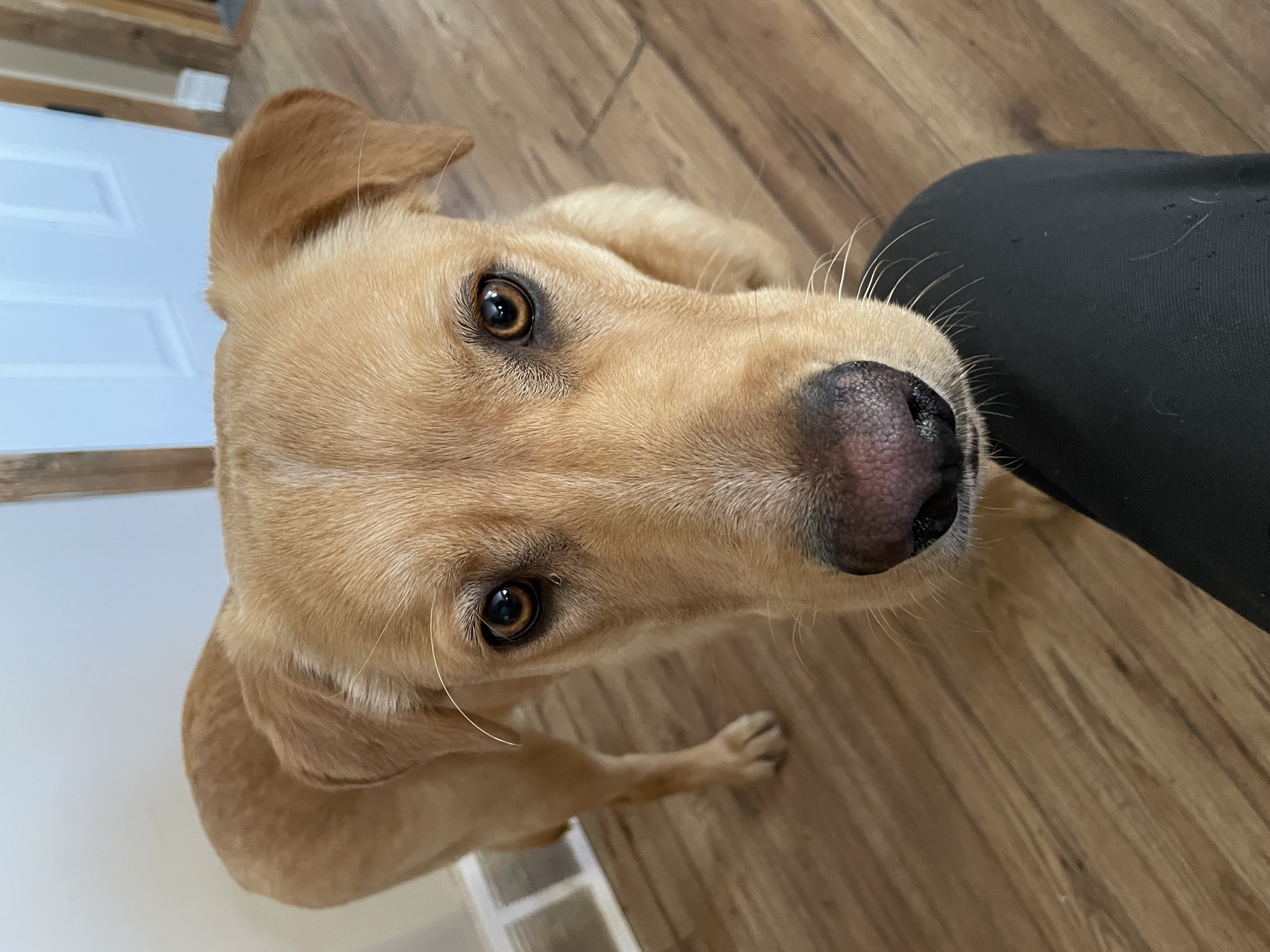 Photo of Your New Friend