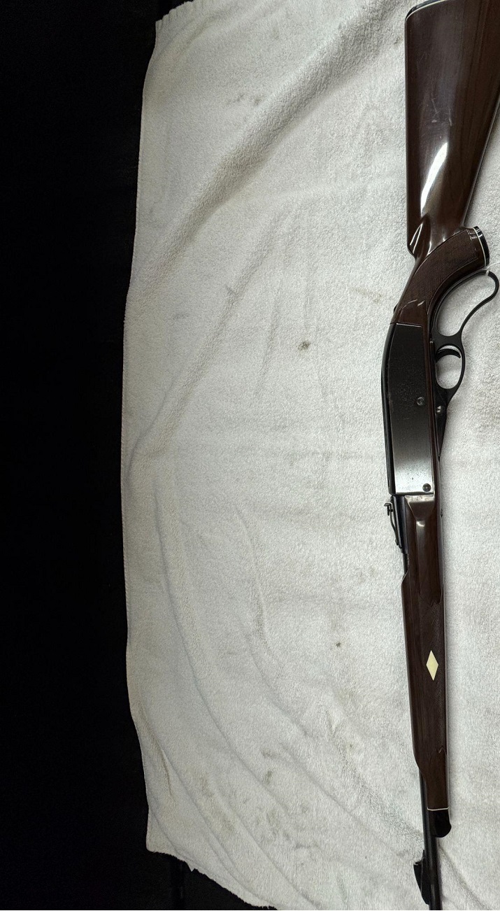 Photo of Remington Nylon 76  22 caliber