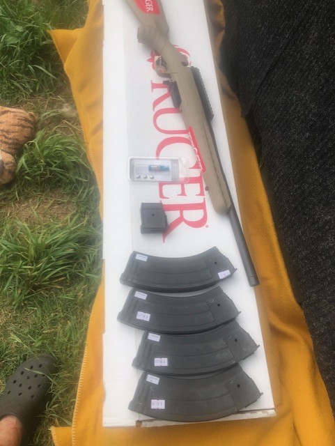 Photo of Ruger  Ranch 7.62